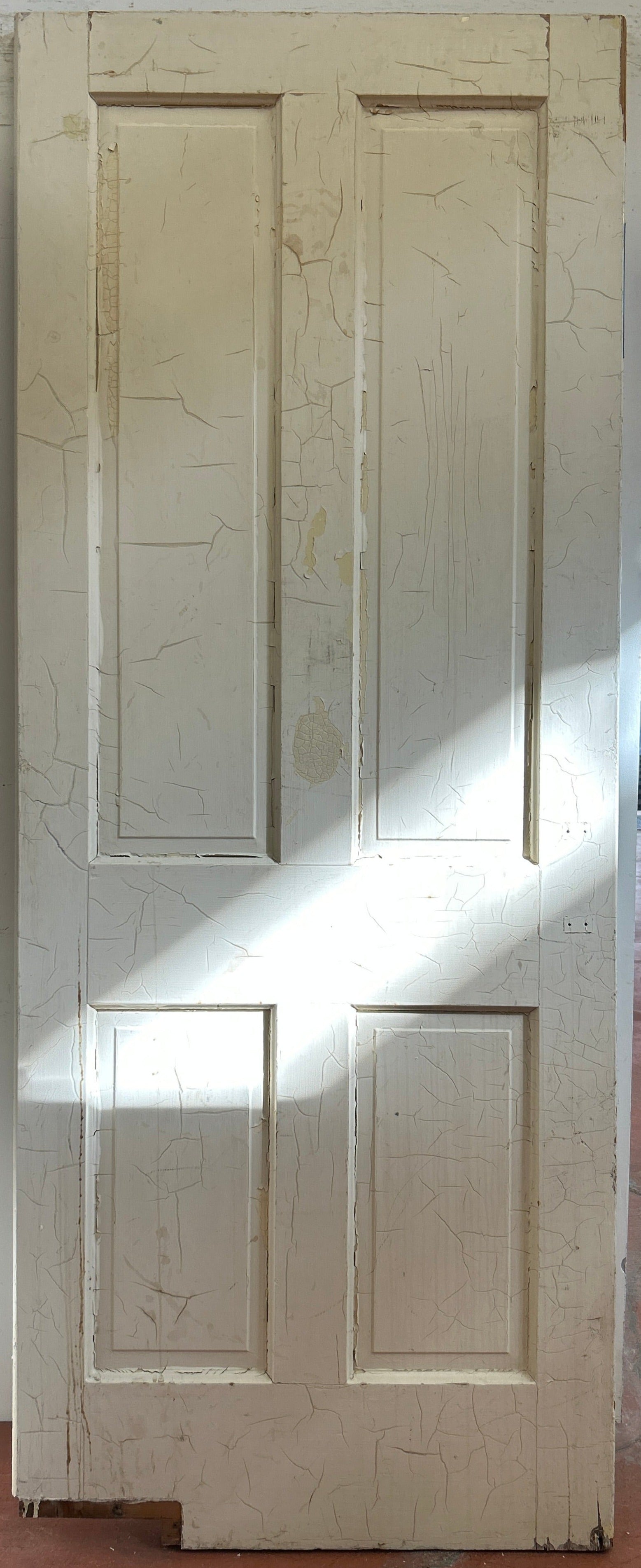Swing Door With Four Raised Panels (SW-74)