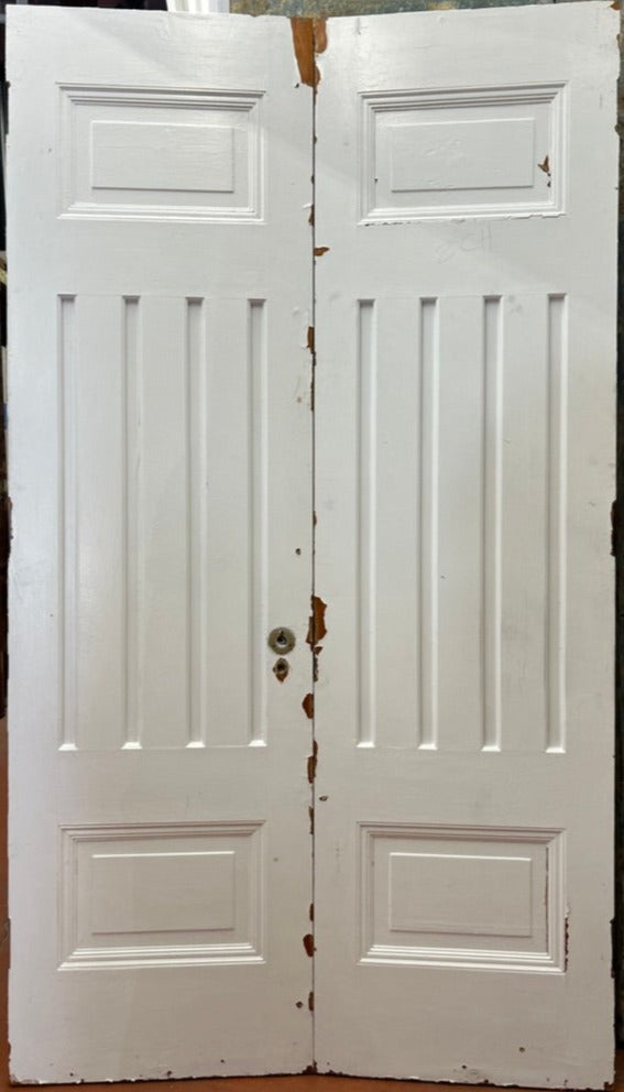 6-Panel Door Pair (FDP-191)