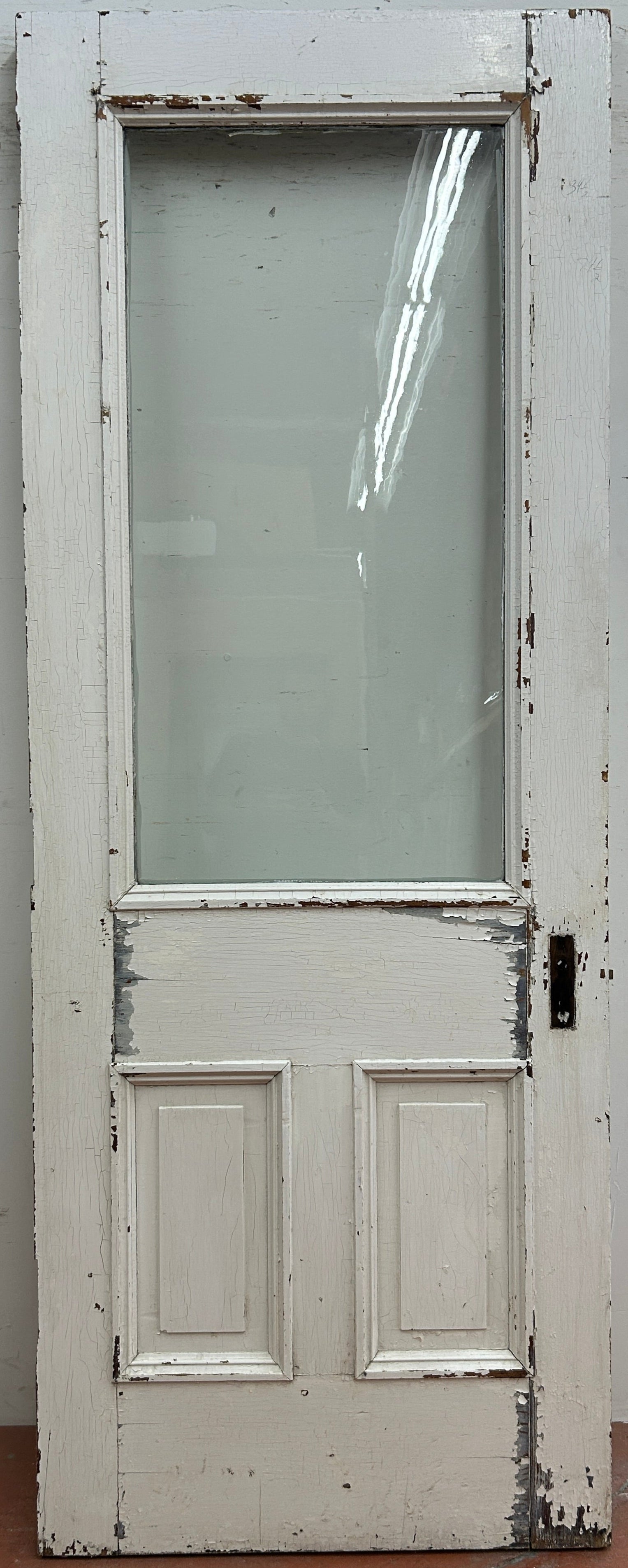 1-Light/ 2-Panel Back Door w/ Raised Trim (BD-399)