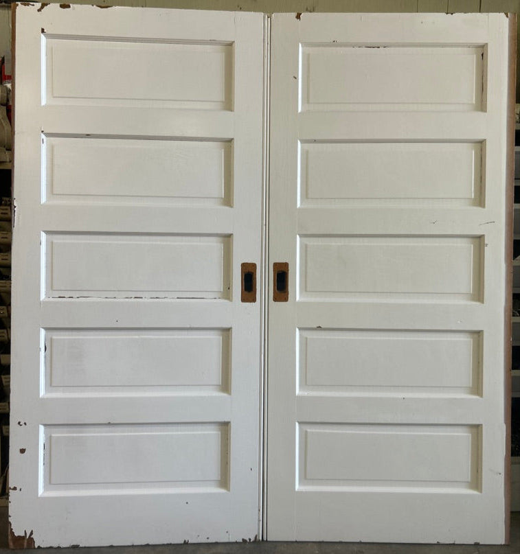5-Panel Pocket Door Pair (PD-45)