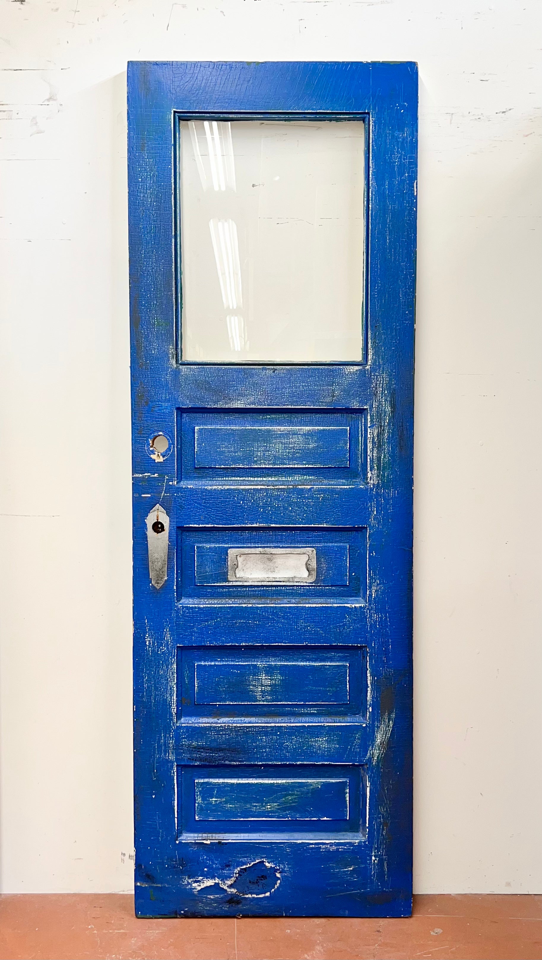 1-Light/ 4 Raised Panel Door (BD-219)
