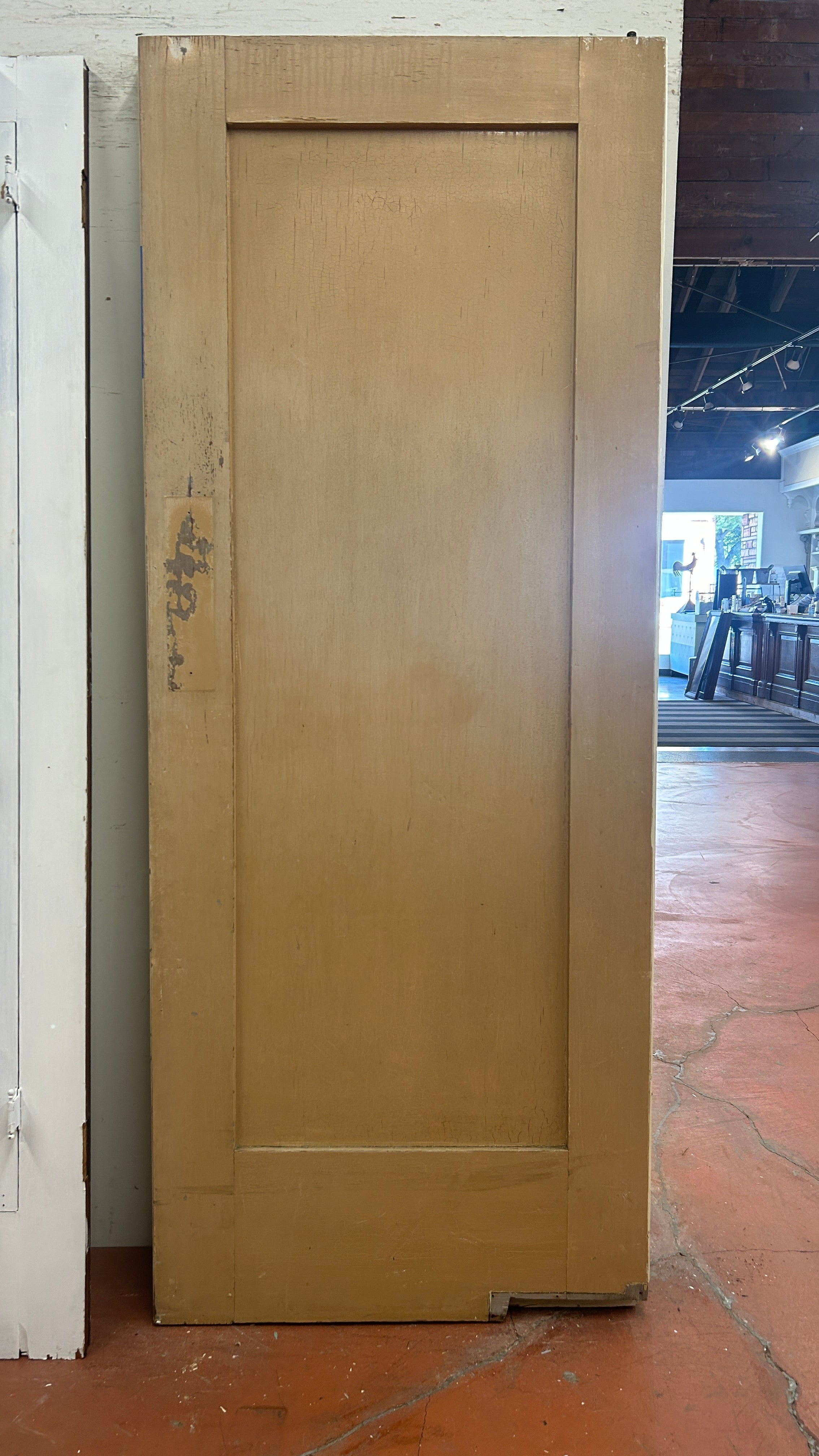 1-Panel Swing Door (SW-79)
