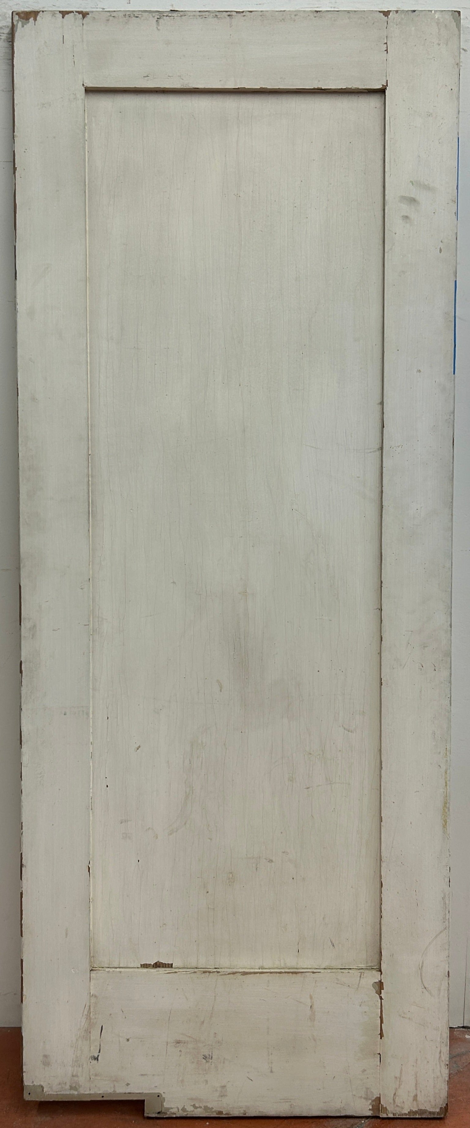One Flat Paneled Swing Door (SW-69)