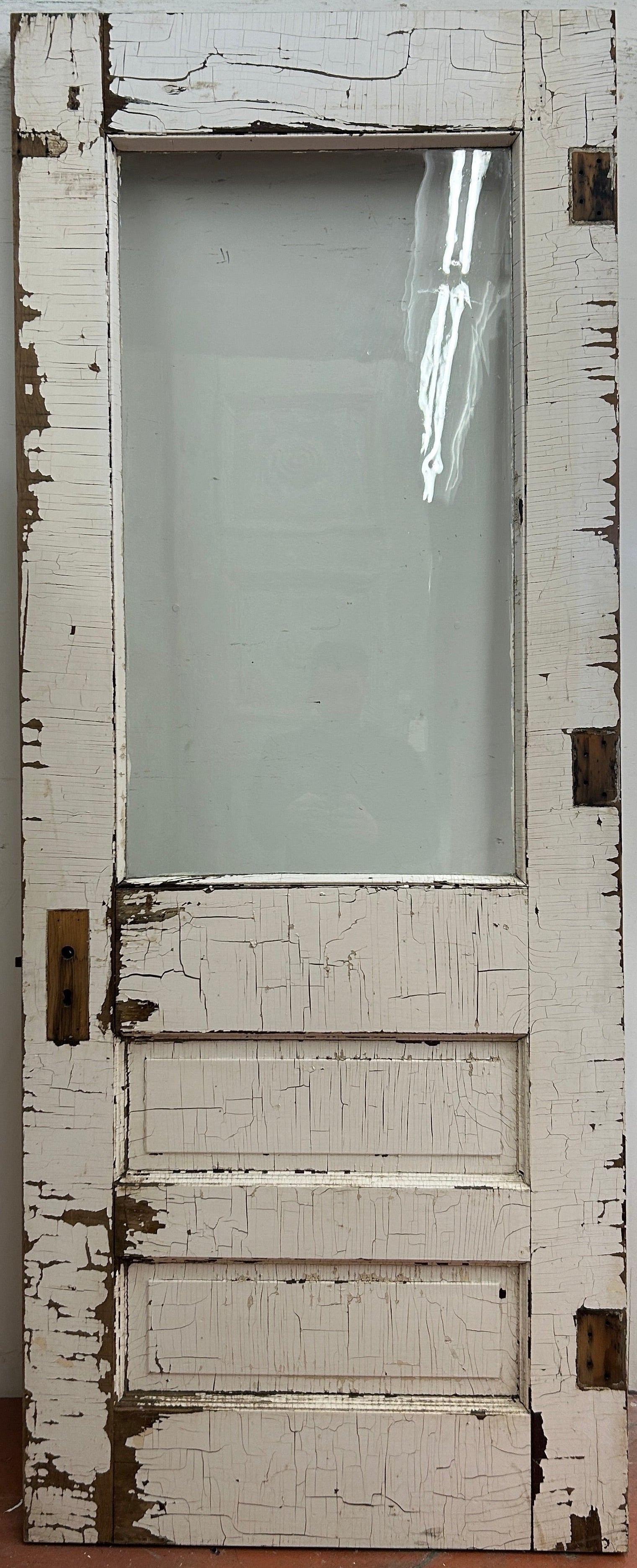 1-Light/ 2-Panel Back Door w/ Drip Ledge (BD-354)