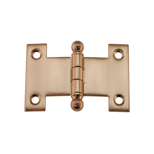 BM Parliament Hinges