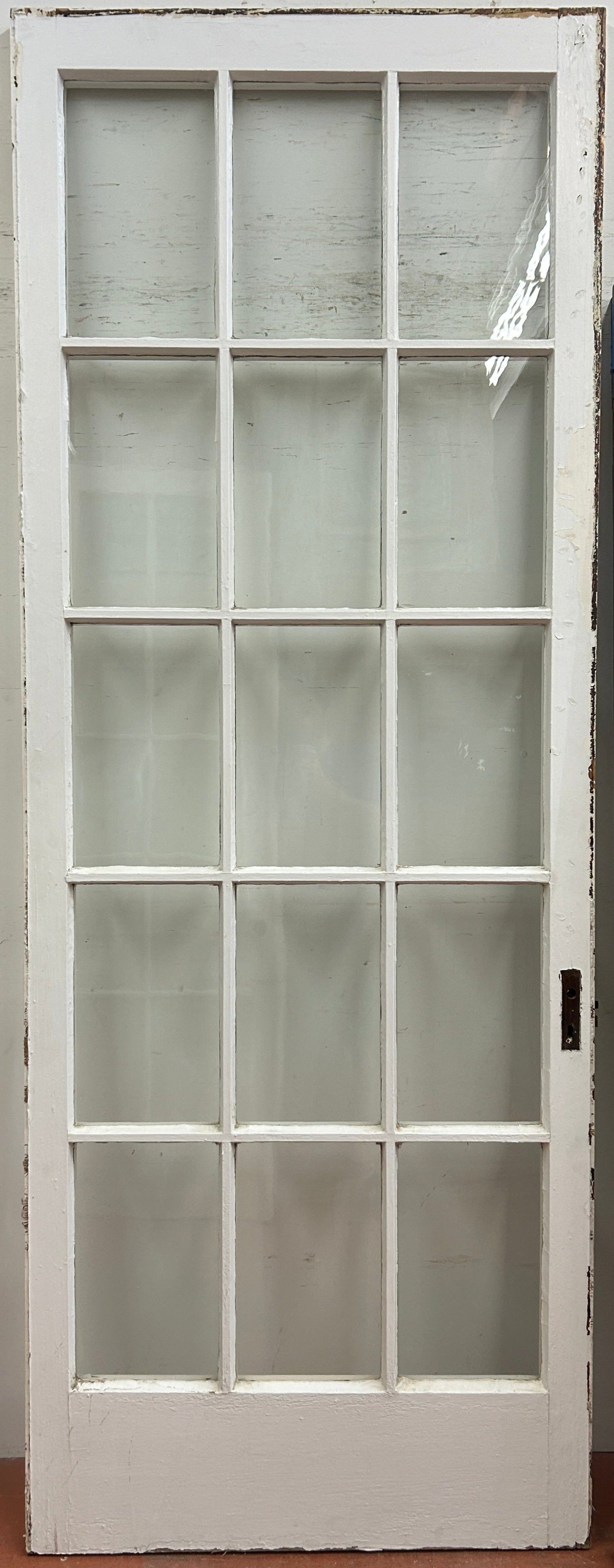 15-Light French Door Single (FDS-245)