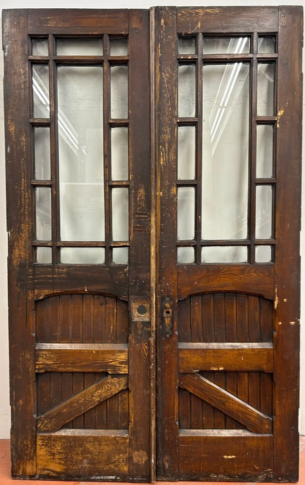 13-Light/ 2-Panel French Door Pair (FDP-197)