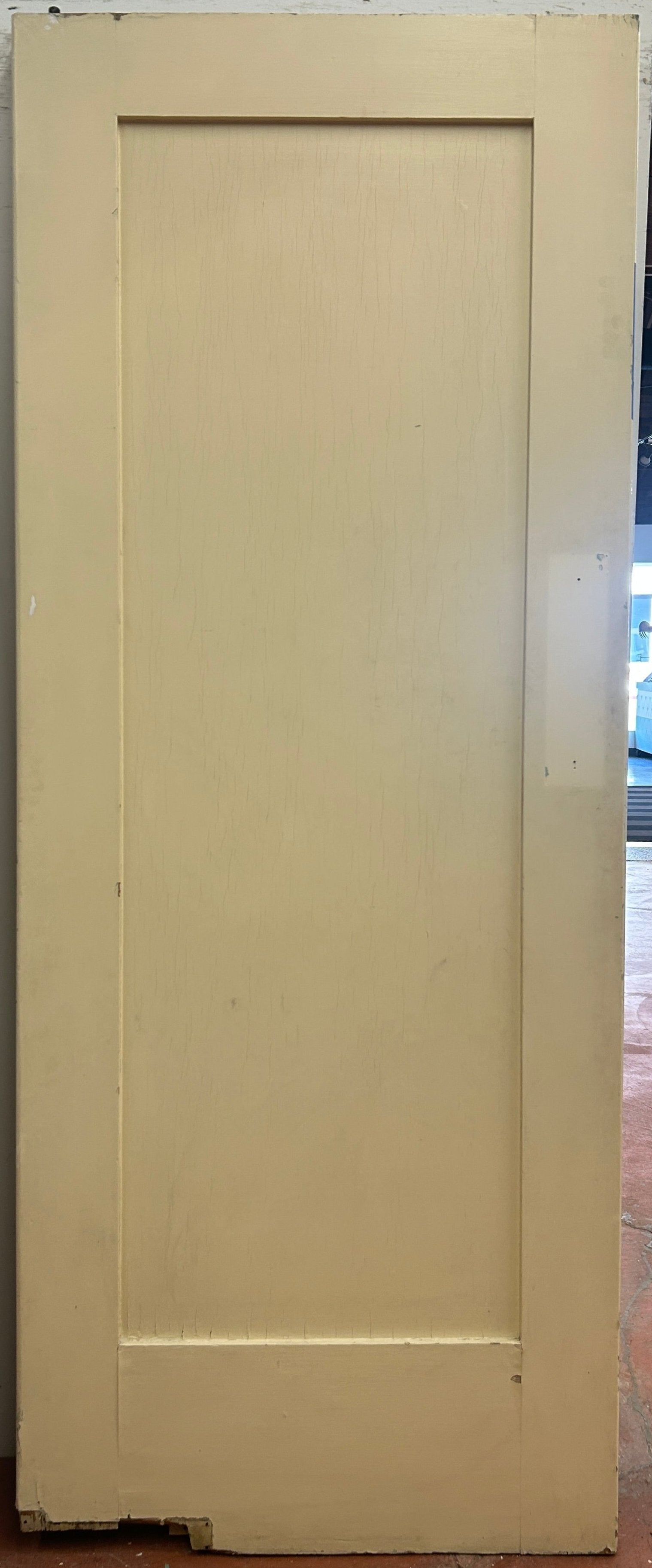 1-Panel Swing Door (SW-79)