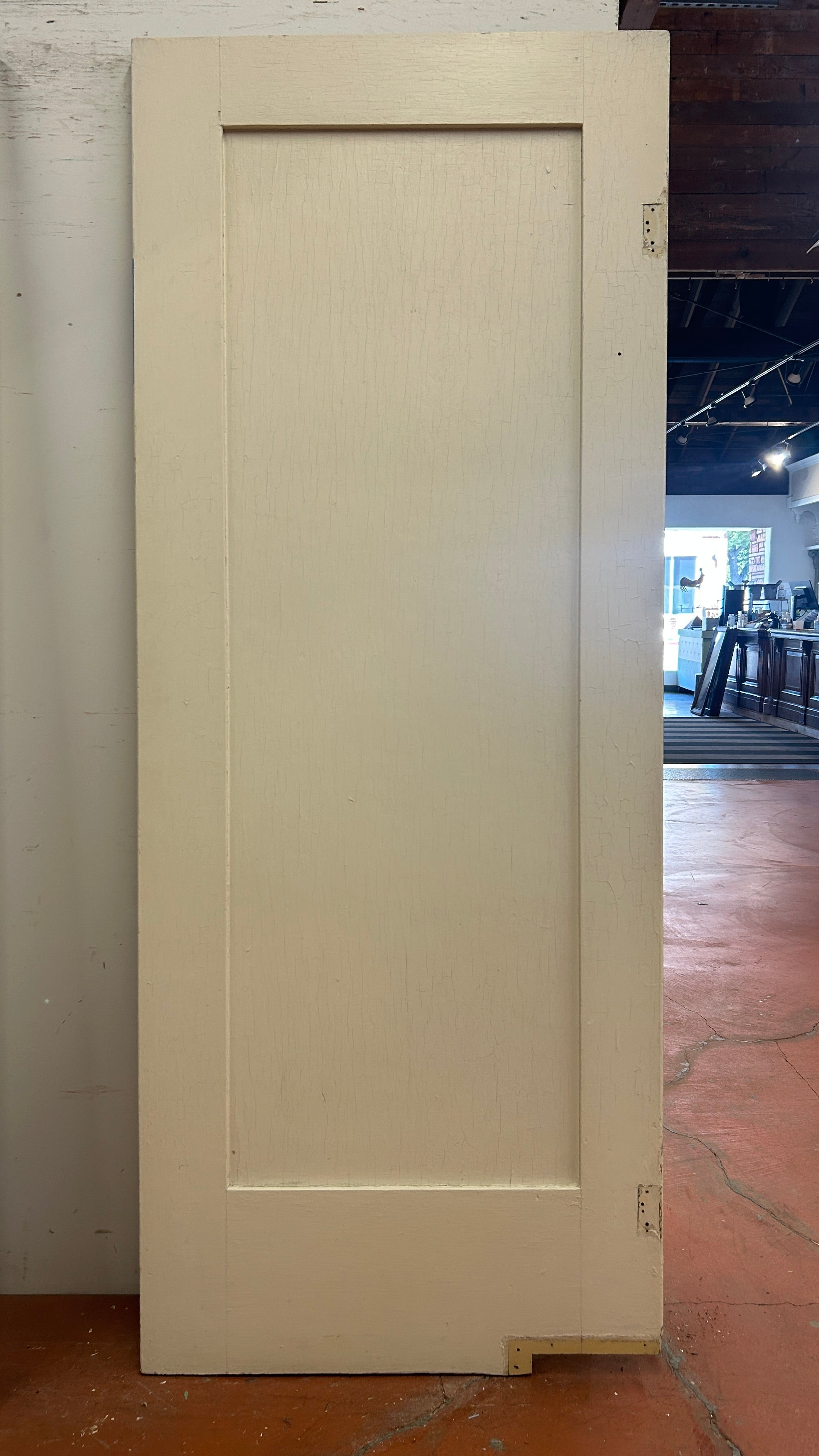 1-Panel Swing Door (SW-80)