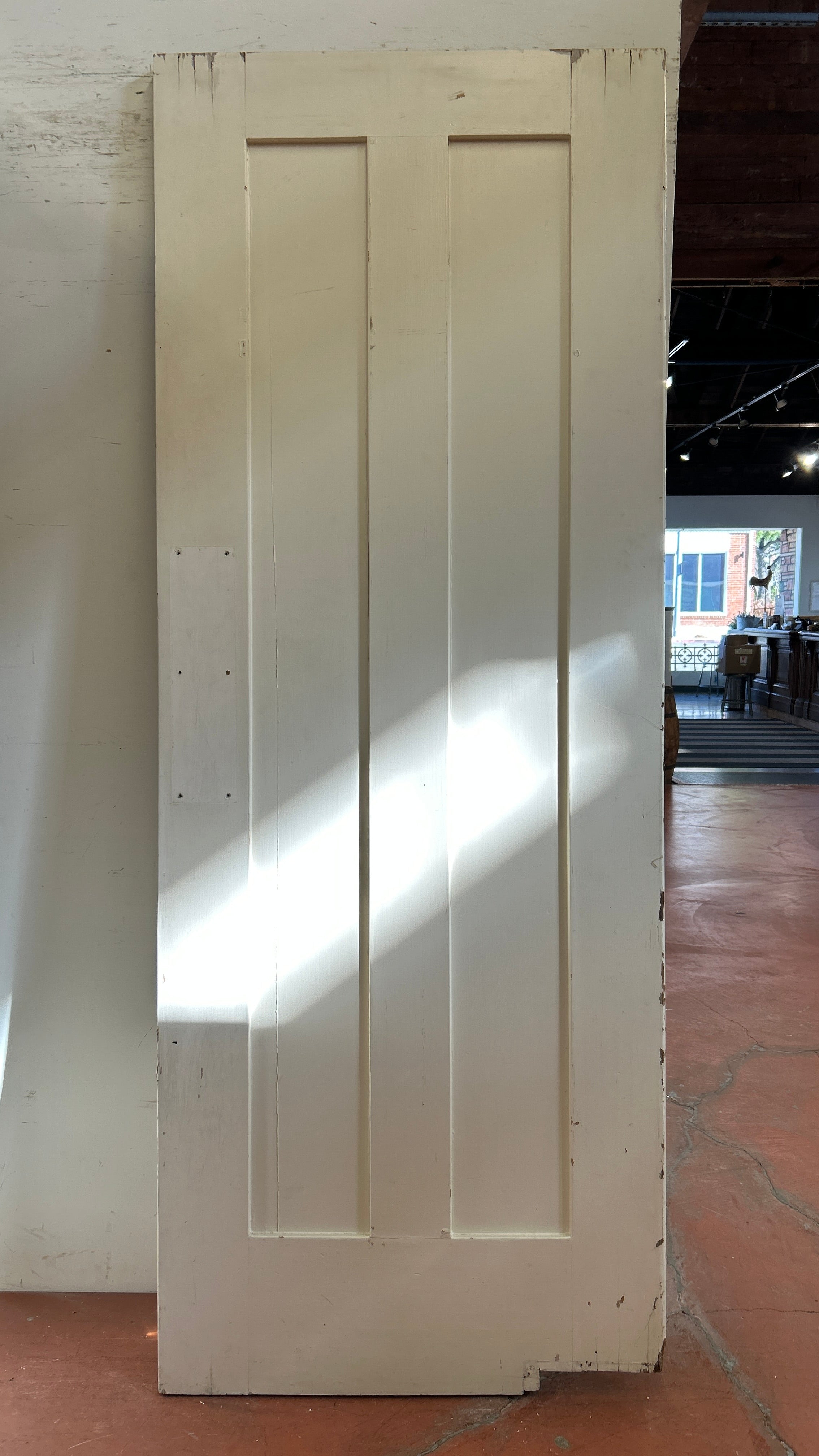 Swing Door With Two Vertical Flat Panels (SW-73)