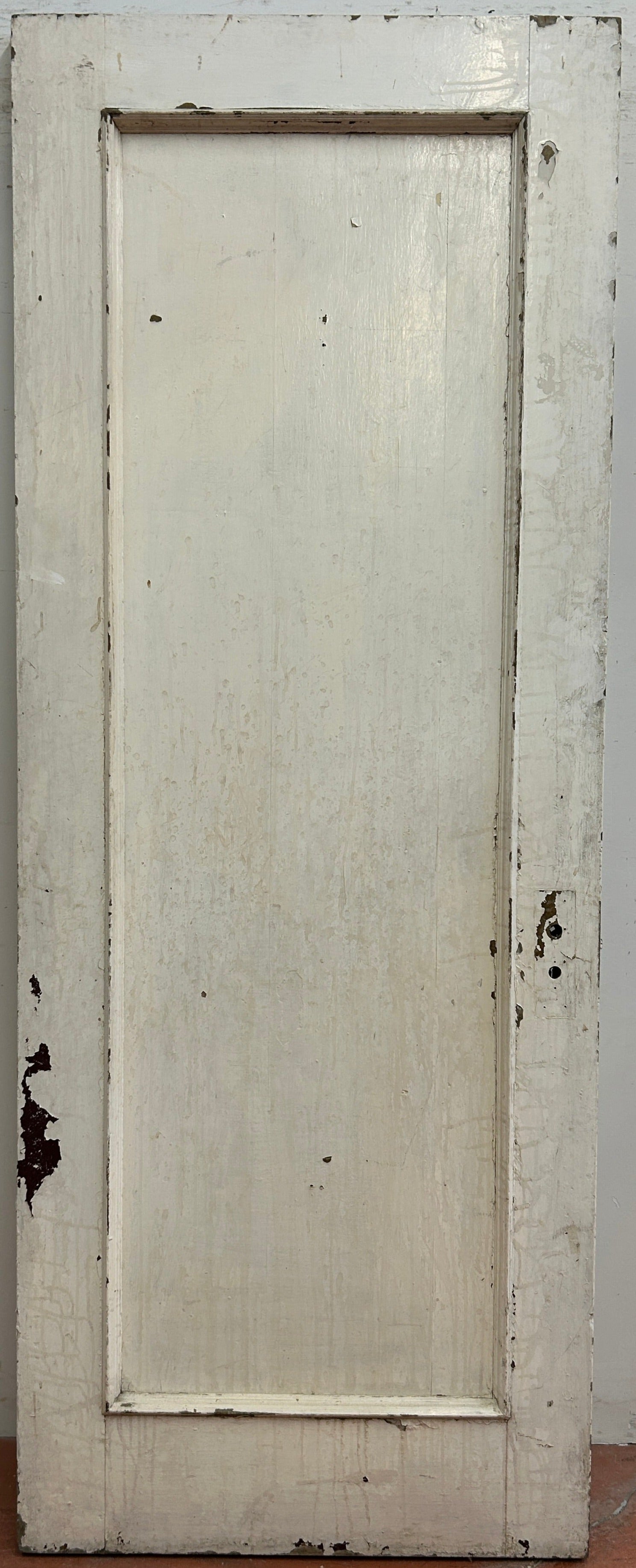 Single Flat Panel Entry Door (ED-187.B)