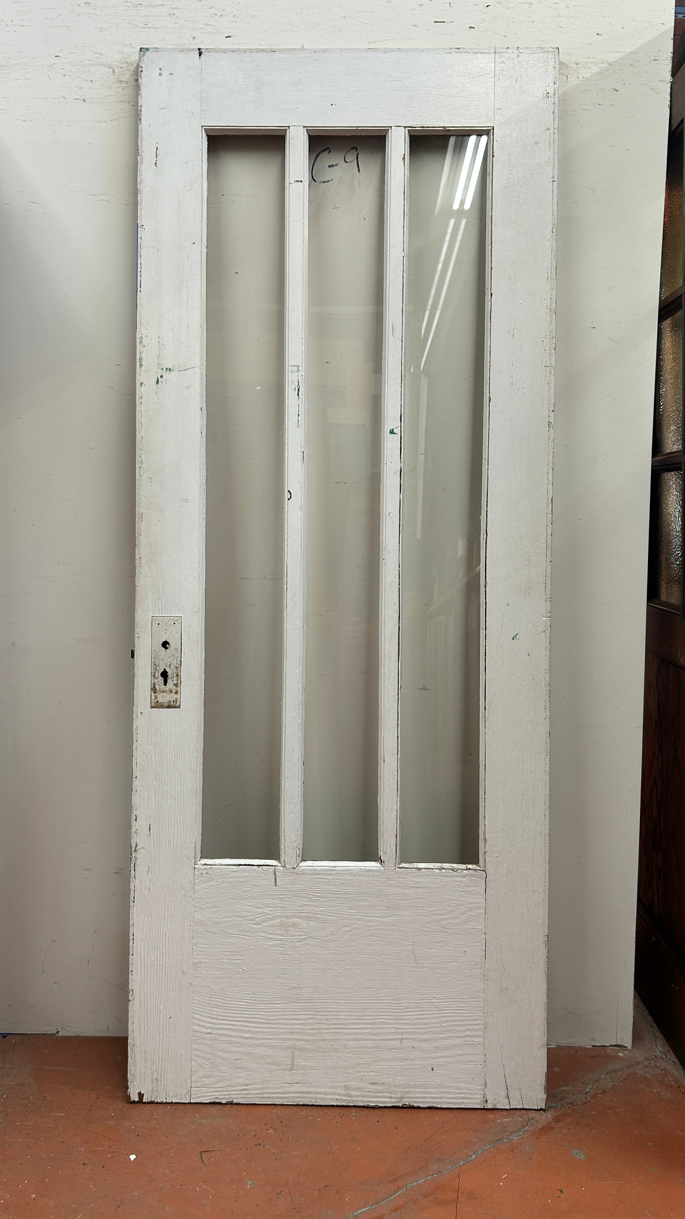 3-Light Entry Door (ED-225)