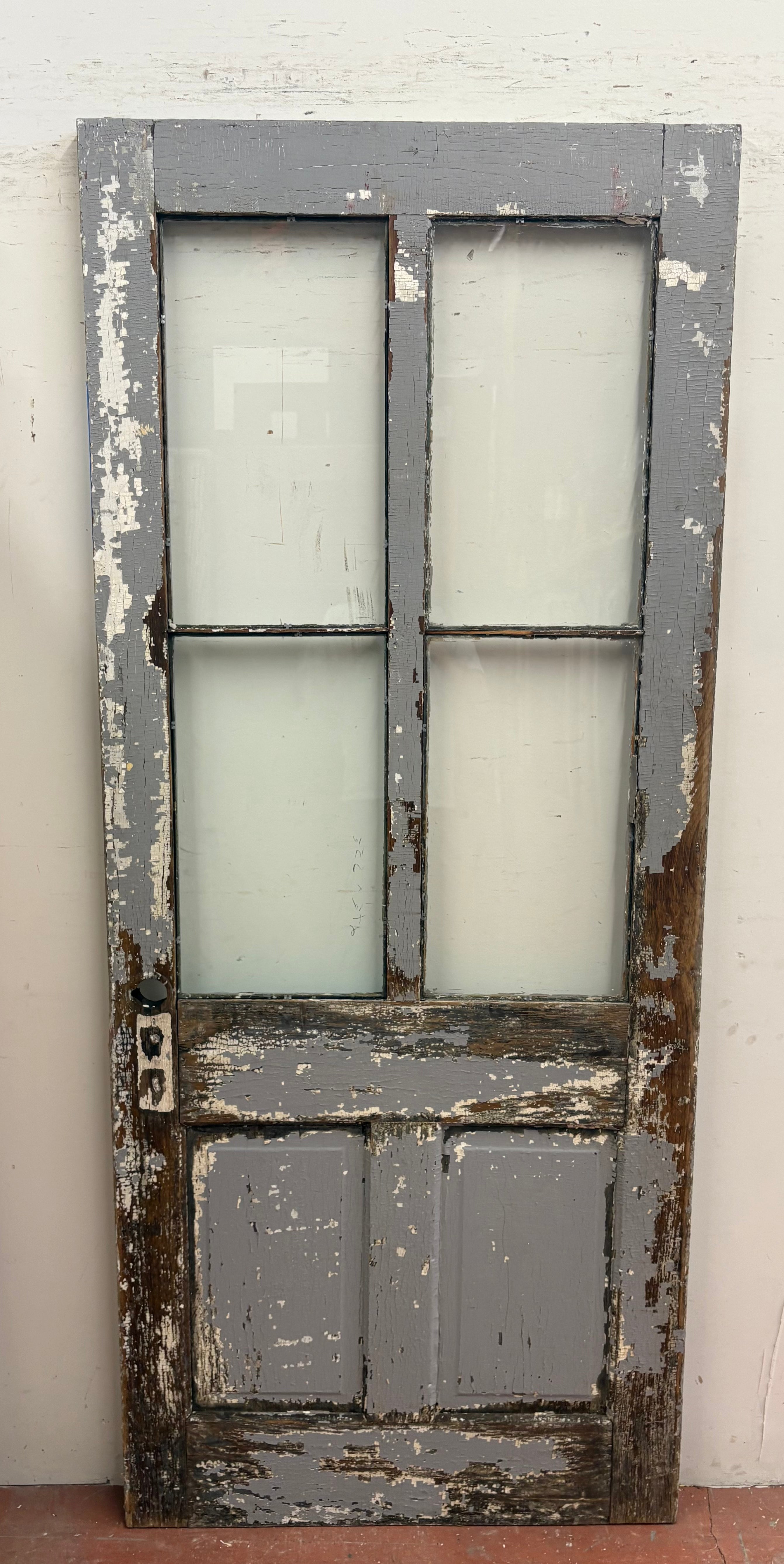4-Light / 2-Panel Back Door (BD-459)