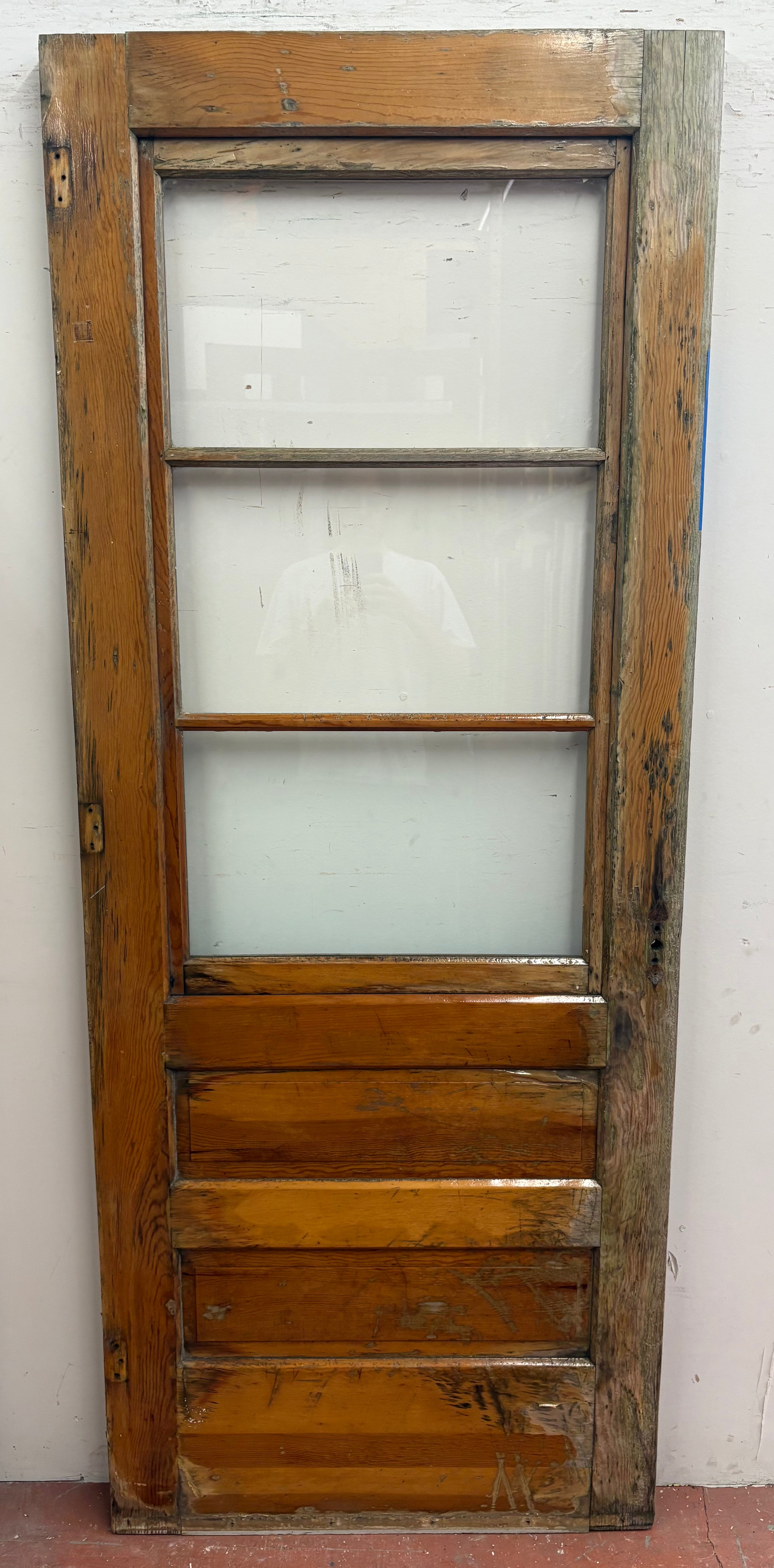 3-Light / 2-Panel Storm Door / Back Door (BD-461)