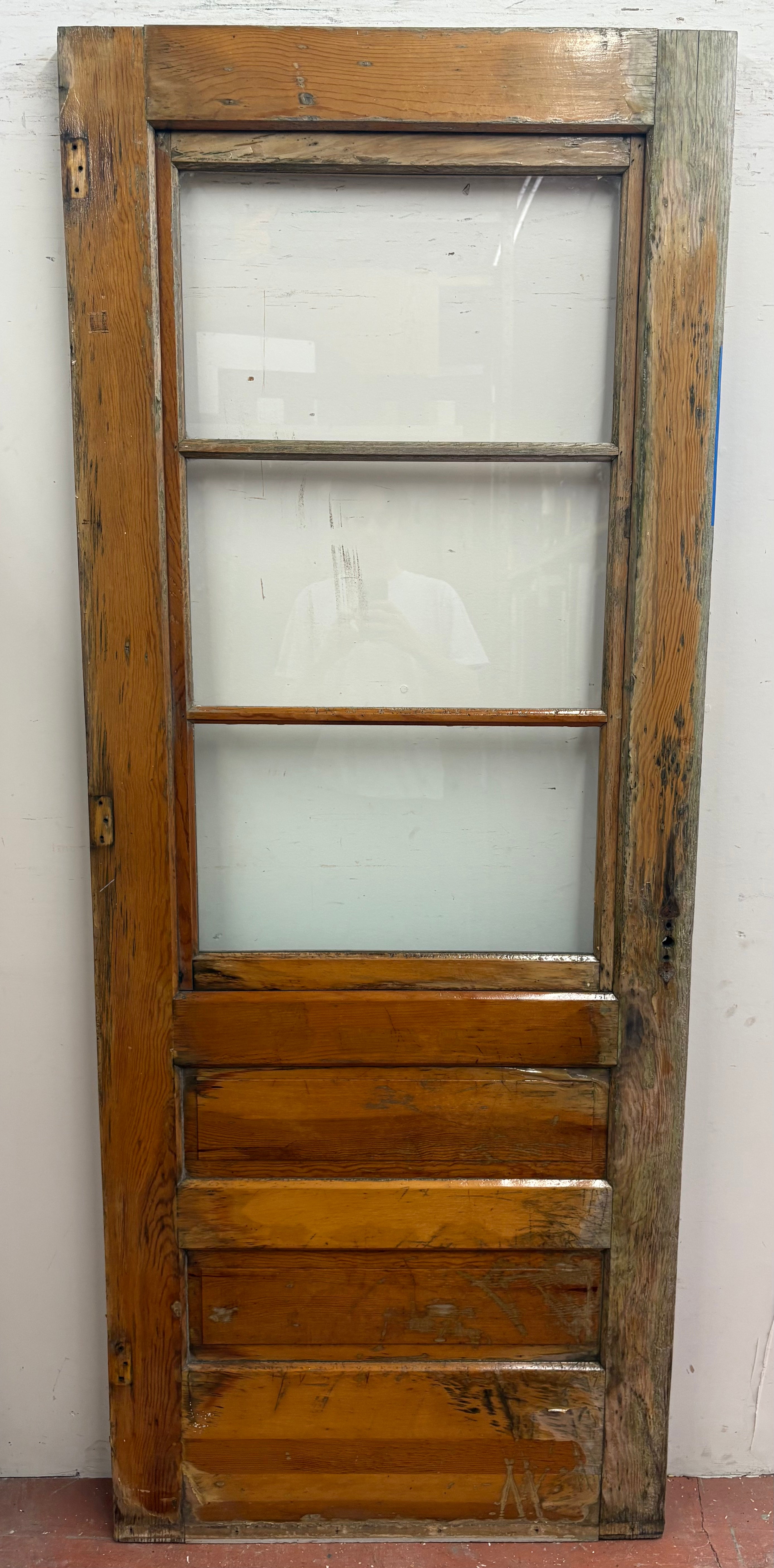 3-Light / 2-Panel Storm Door / Back Door (BD-461)