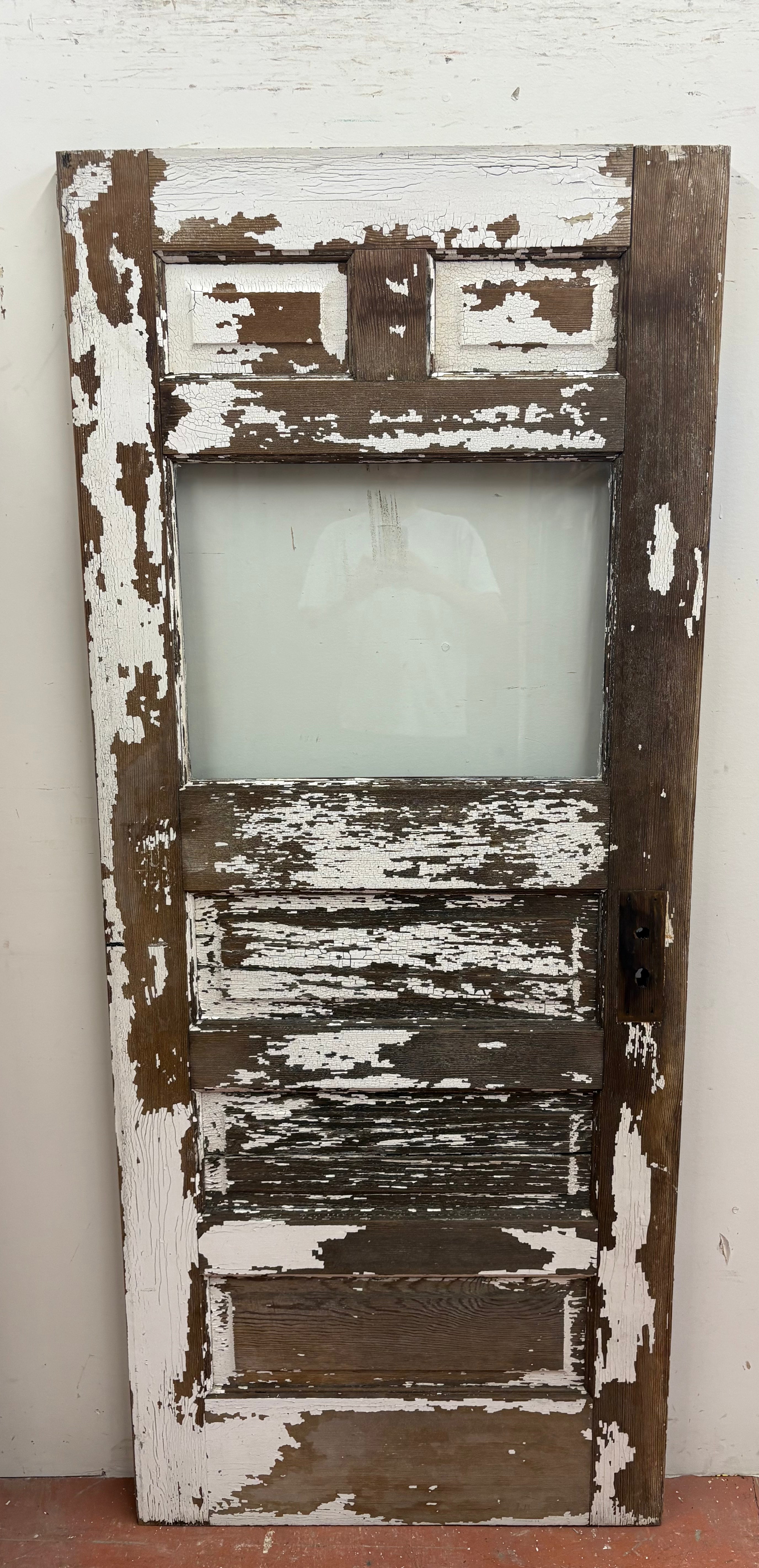 1-Light / 5-Panel Back Door (BD-464)