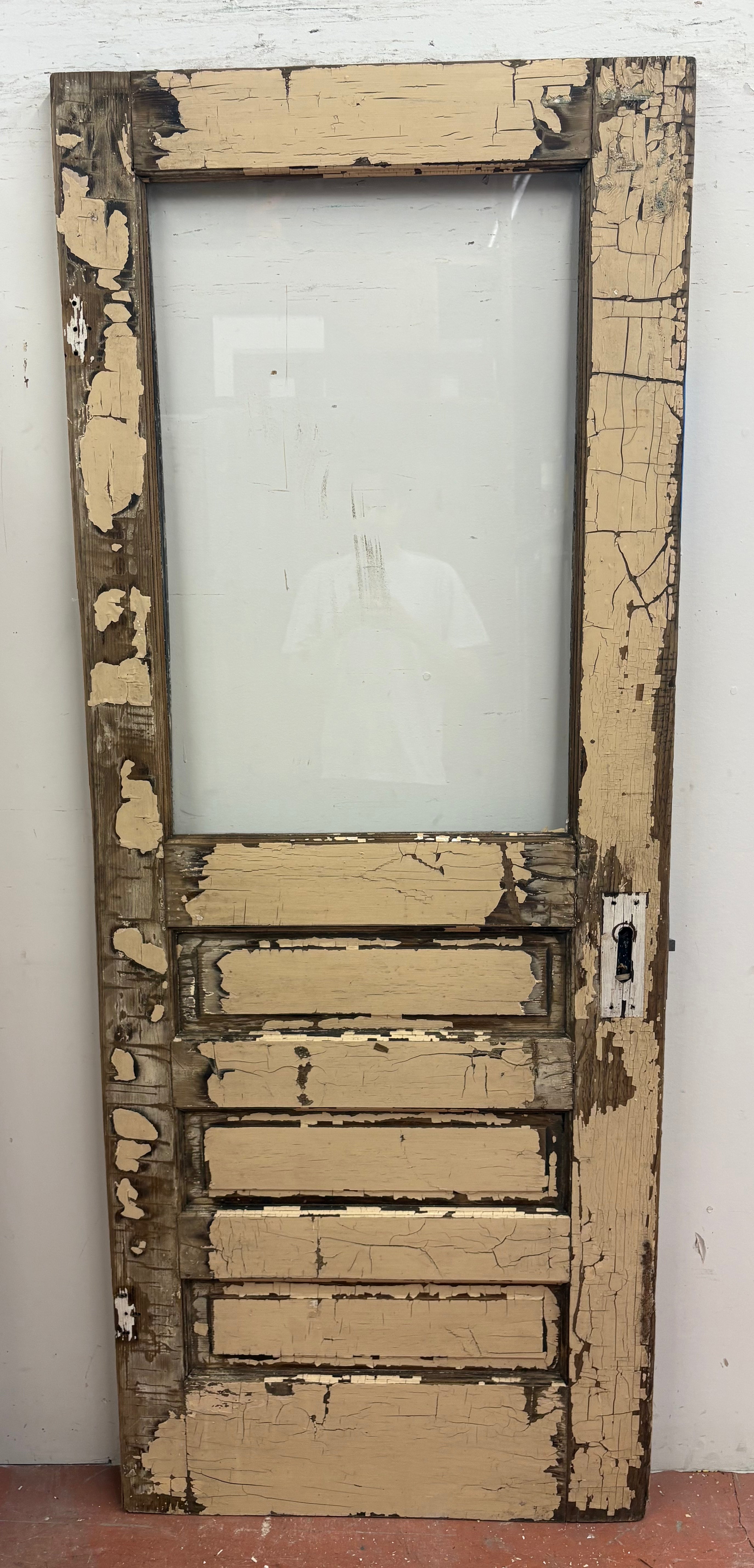 1-Light / 3-Panel Back Door (BD-466)