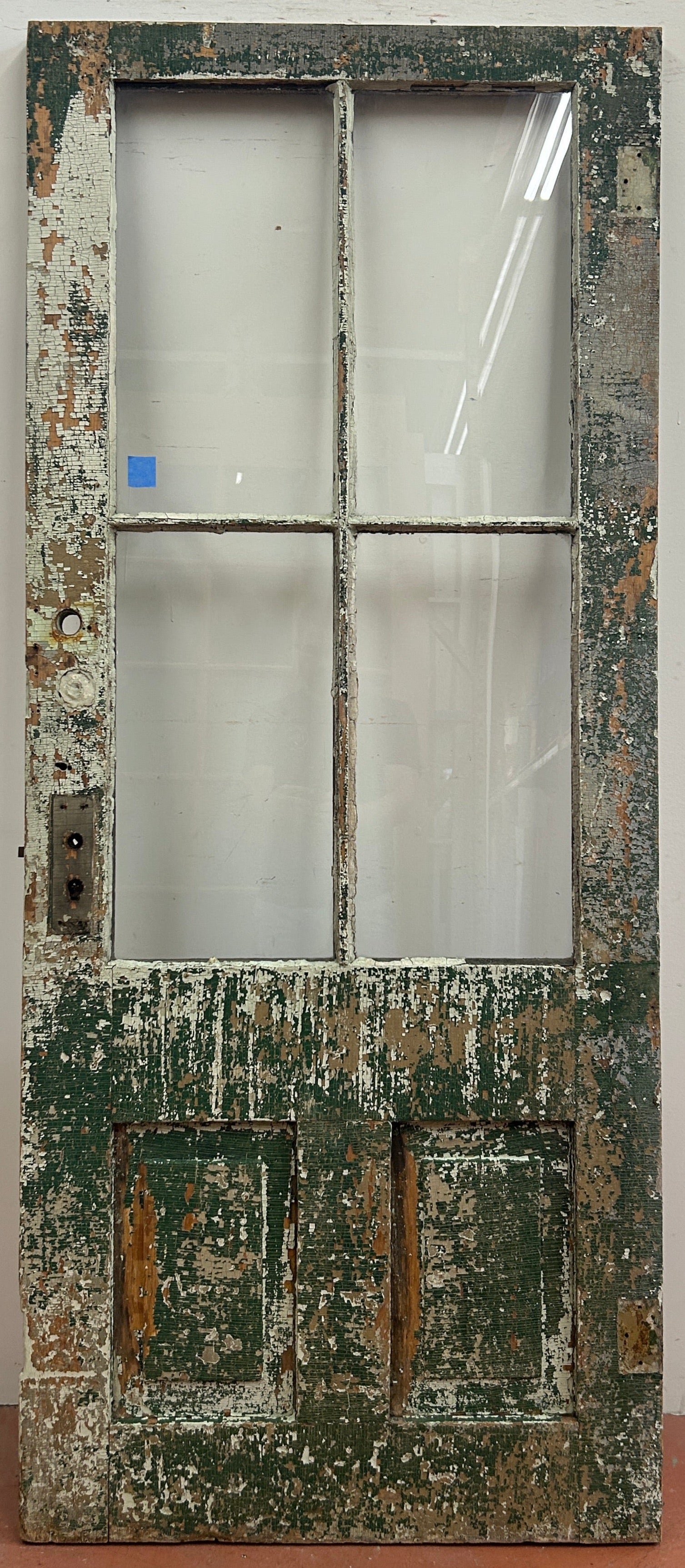 4-Light/ 2-Panel Back Door (BD-222)