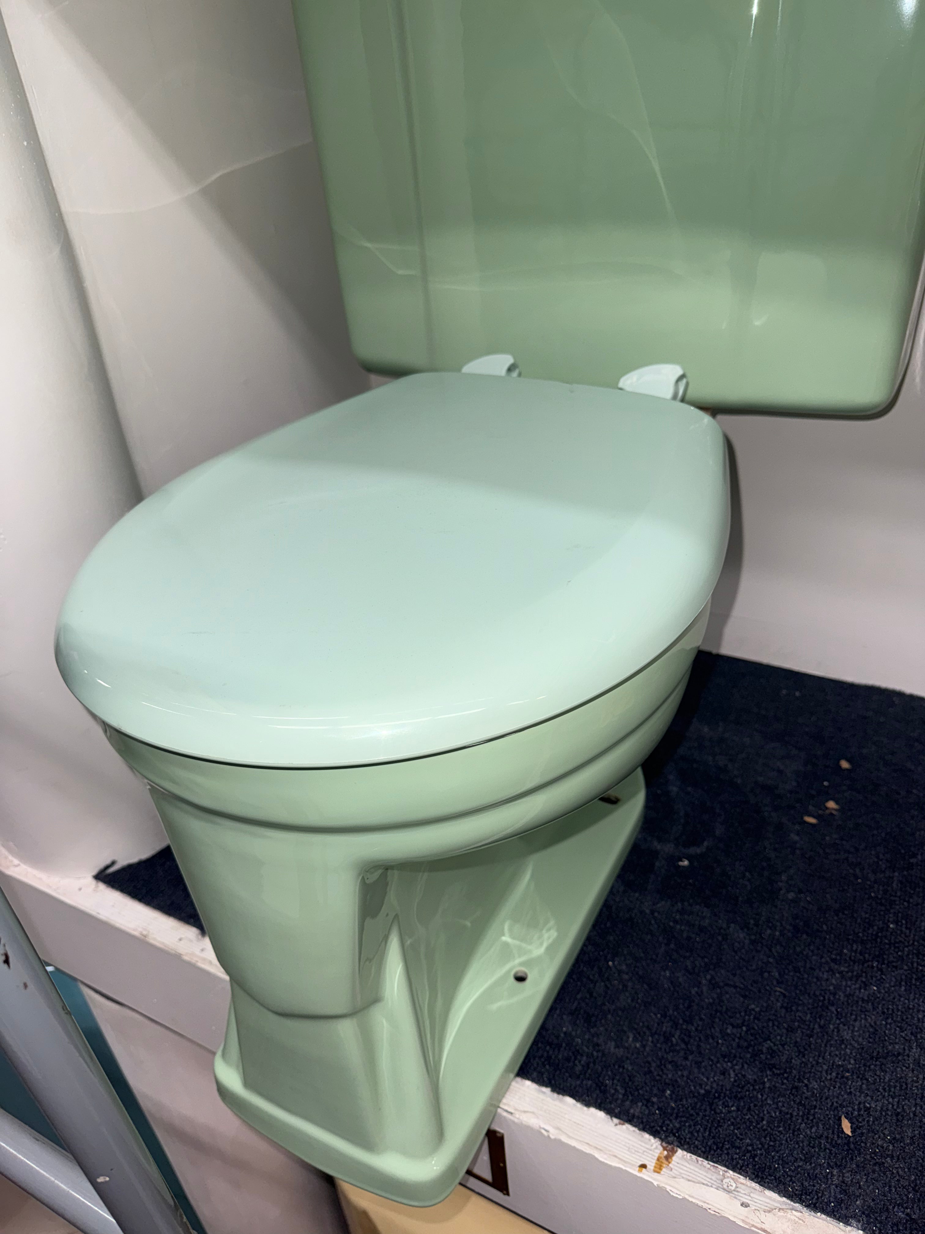 (WC-143) Pastel Green Toilet