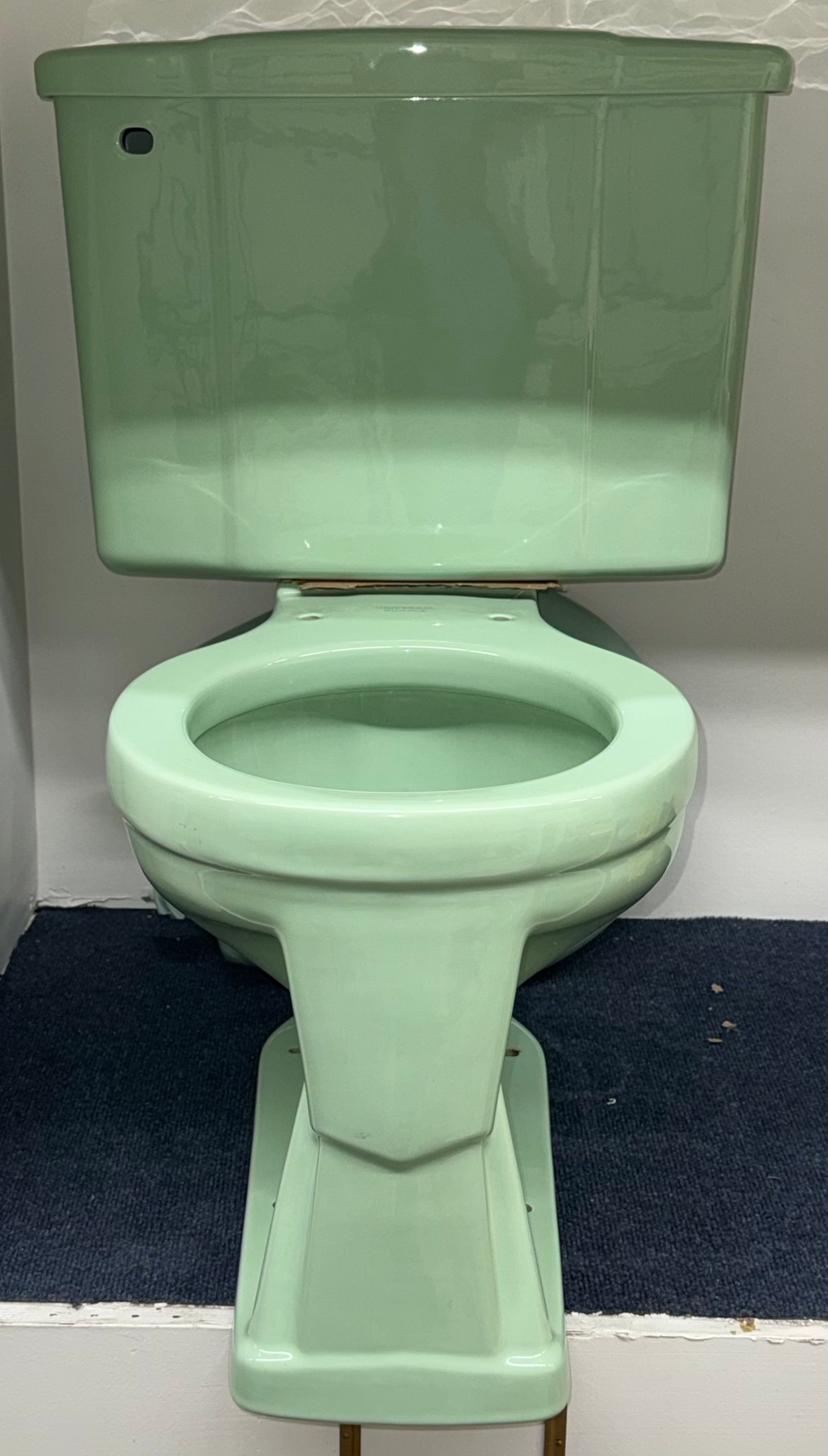 (WC-143) Pastel Green Toilet