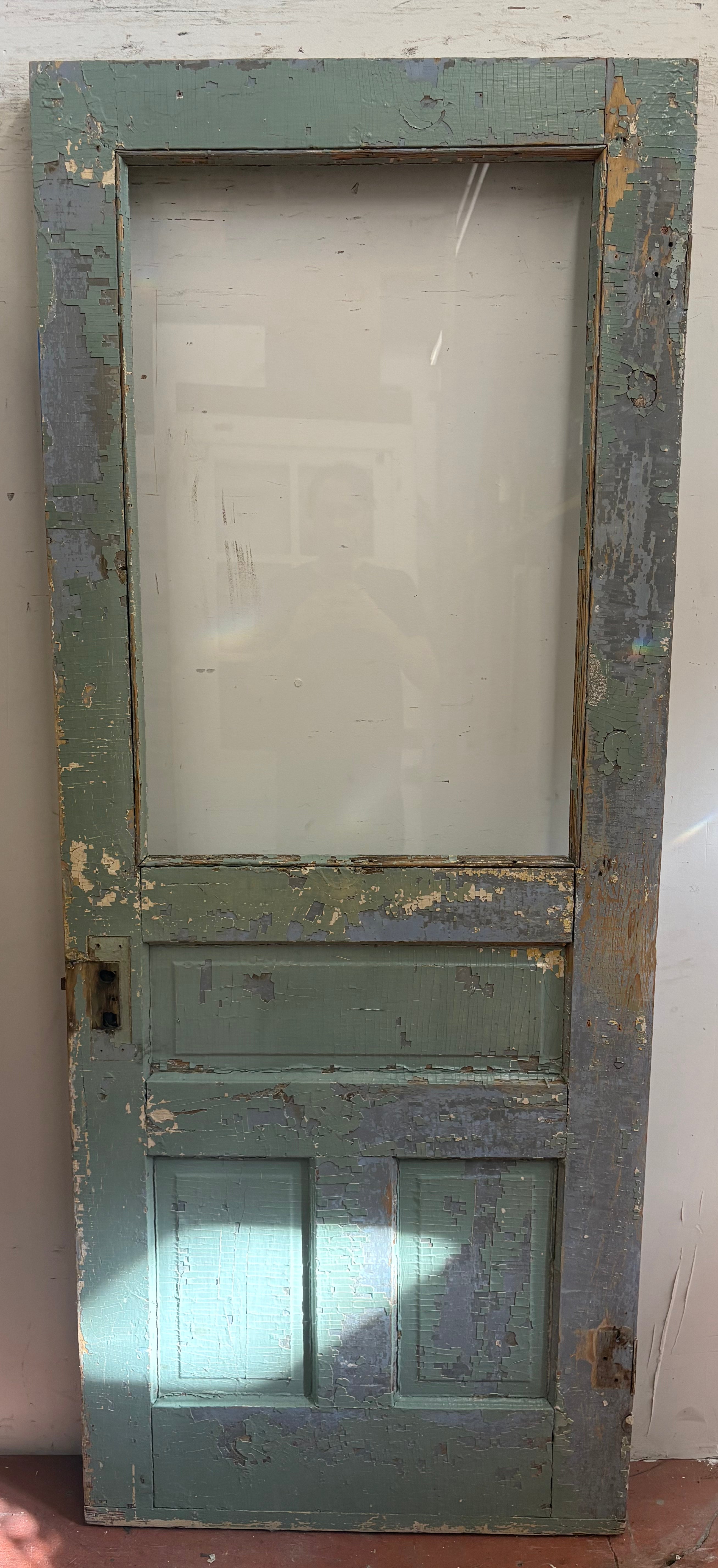 1-Light/ 3-Panel Back Door (BD-479)