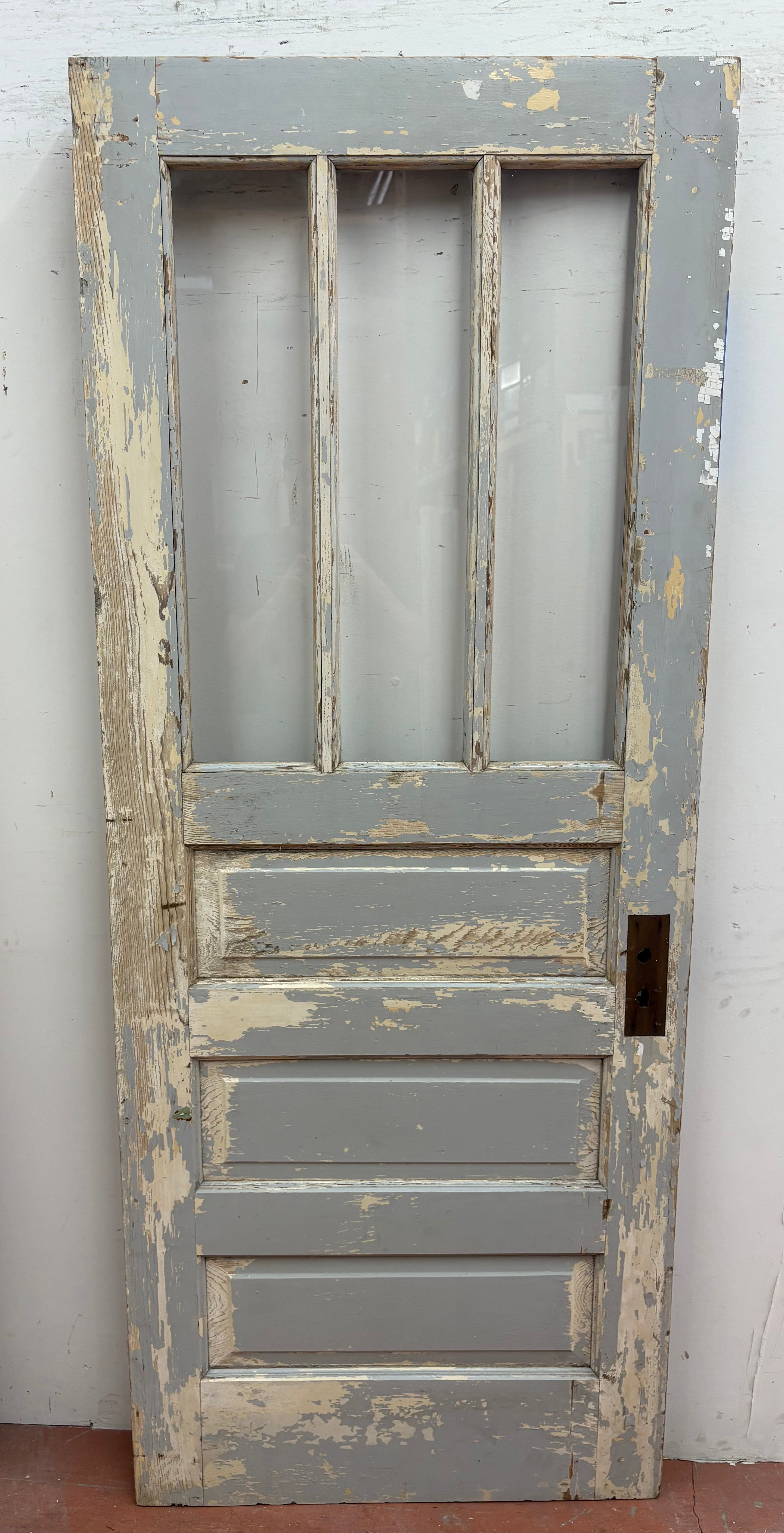 3-Light / 3-Panel Back Door (BD-470)