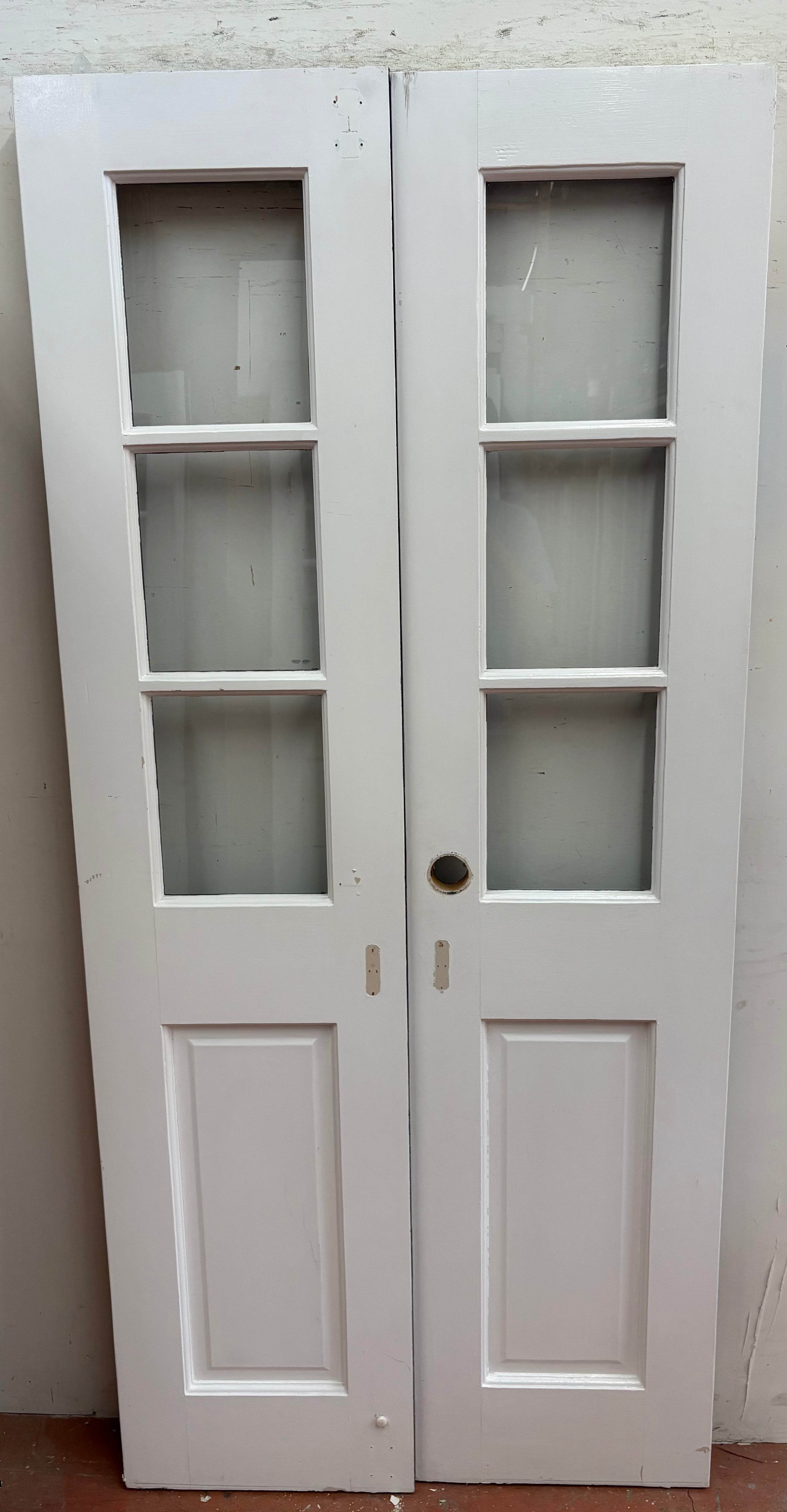 3-Light/ 1-Panel French Door Pair (FDP-352)