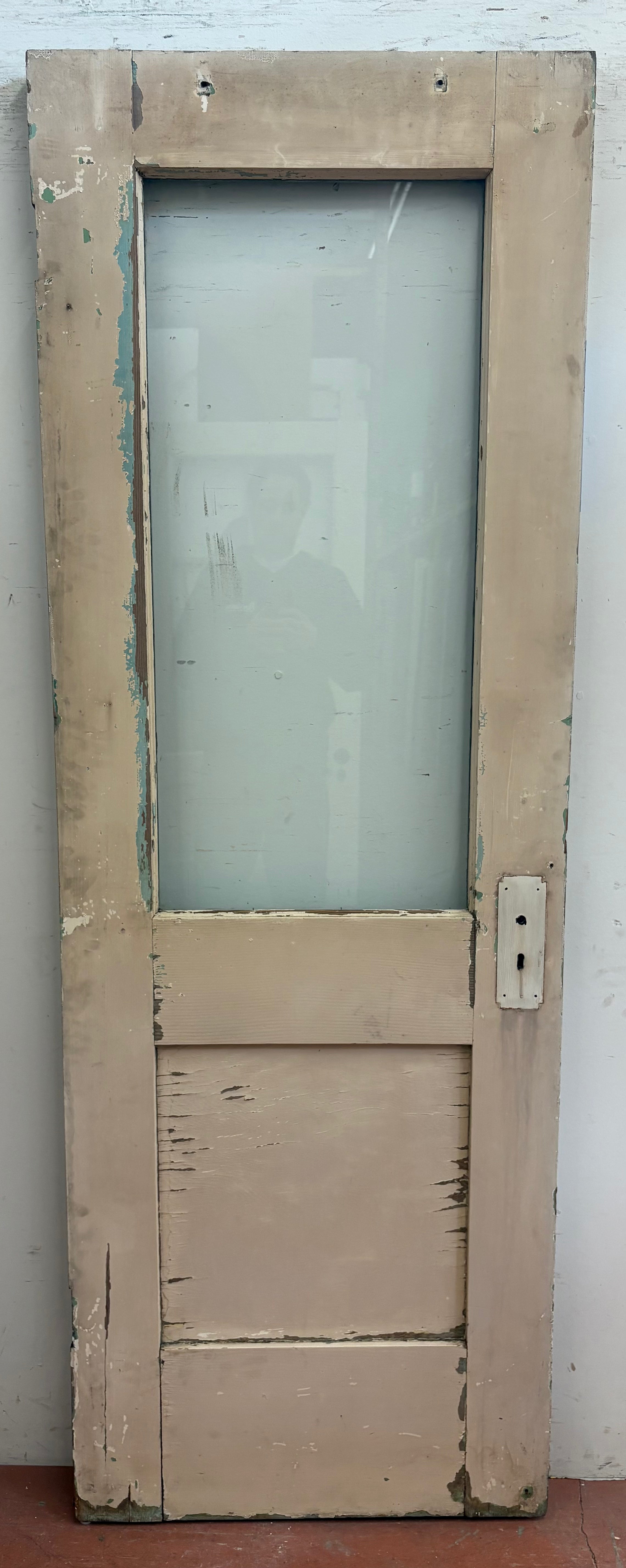 1L 1FP Back Door (BD-485)