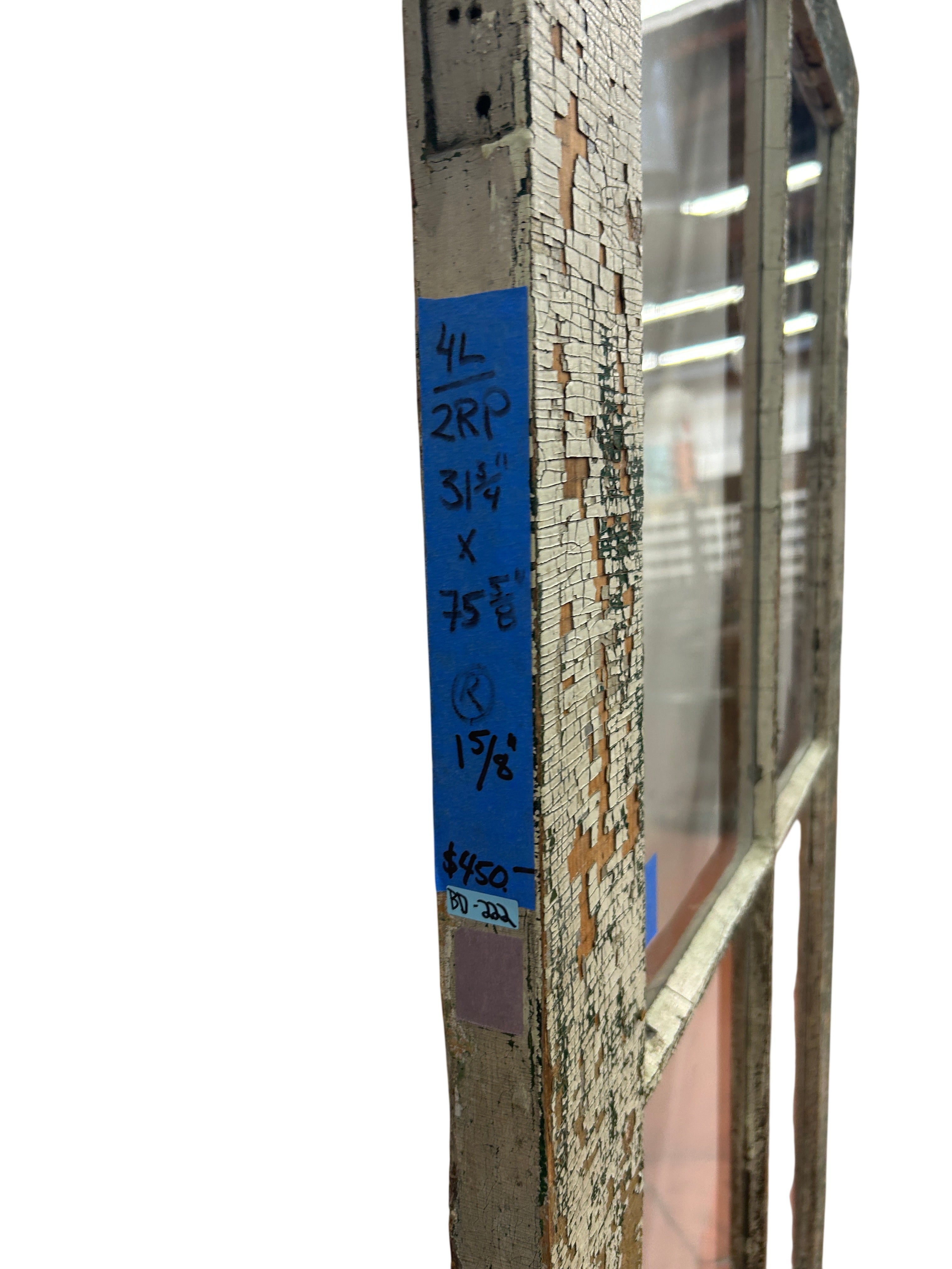 4-Light/ 2-Panel Back Door (BD-222)