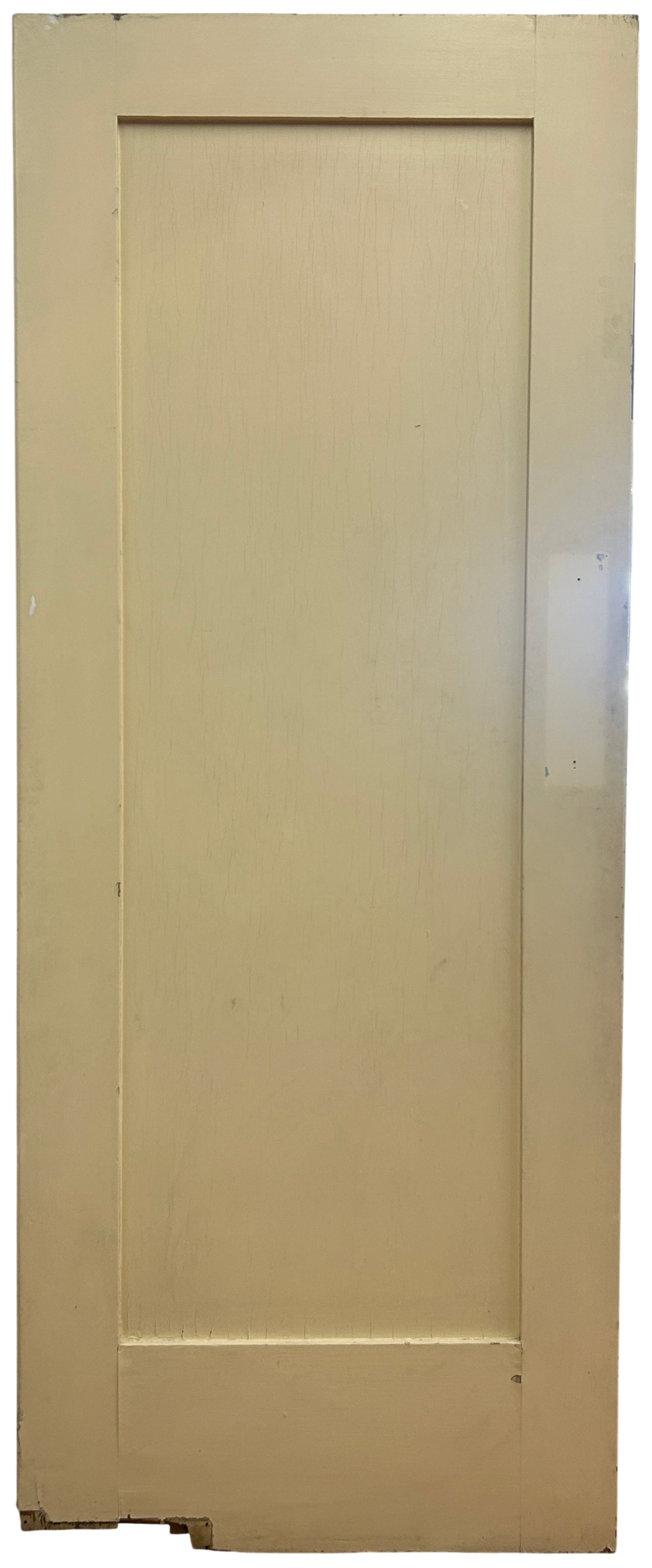 1-Panel Swing Door (SW-79)