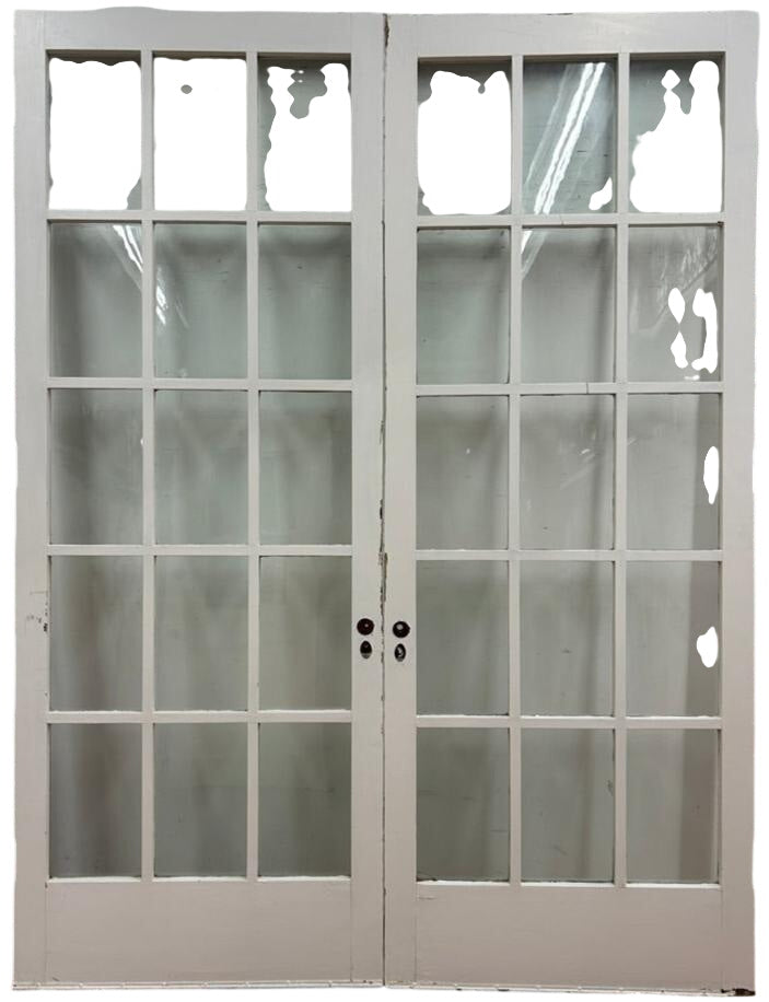 15-Light French Door Pair (FDP-229)