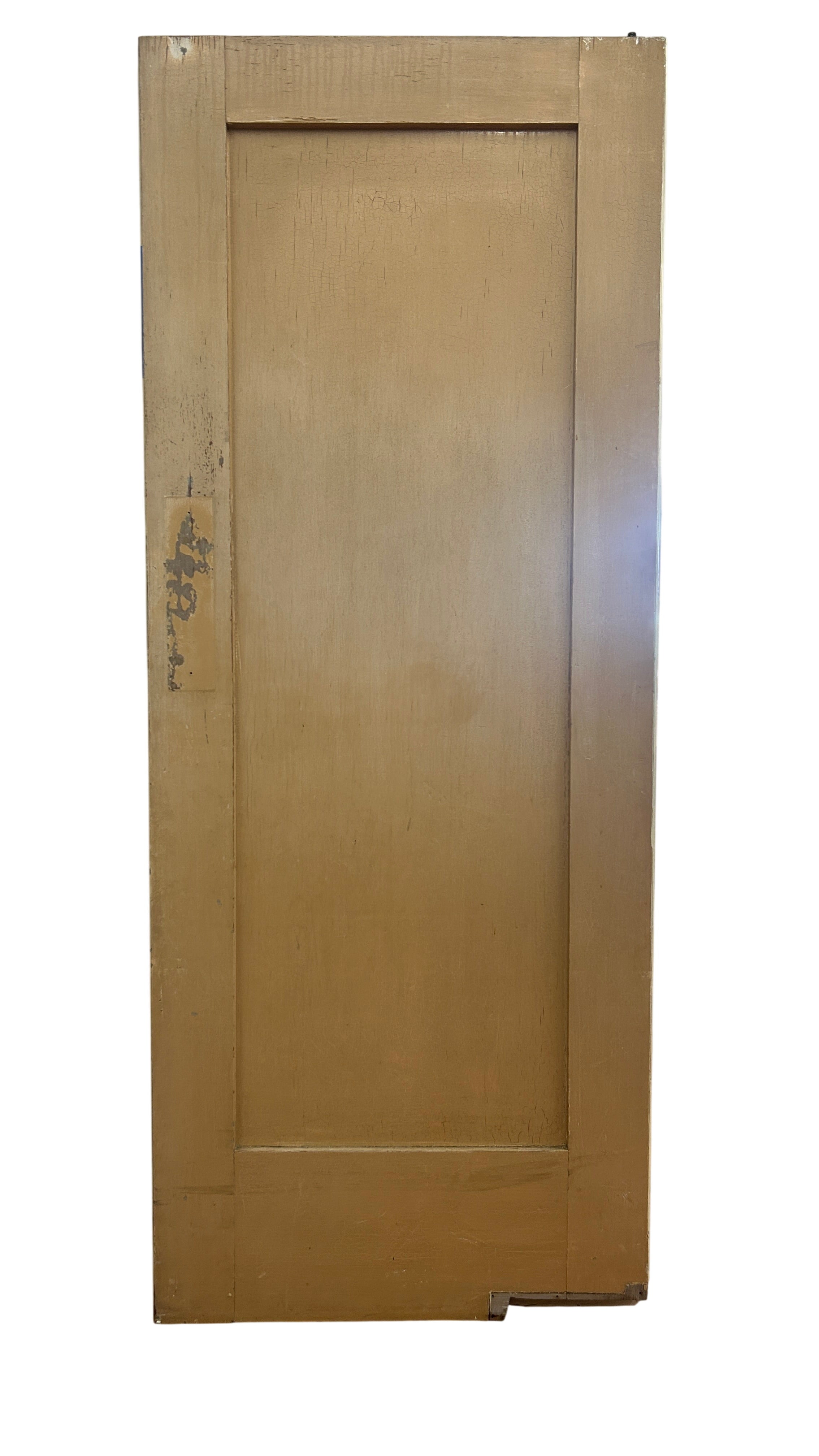 1-Panel Swing Door (SW-79)