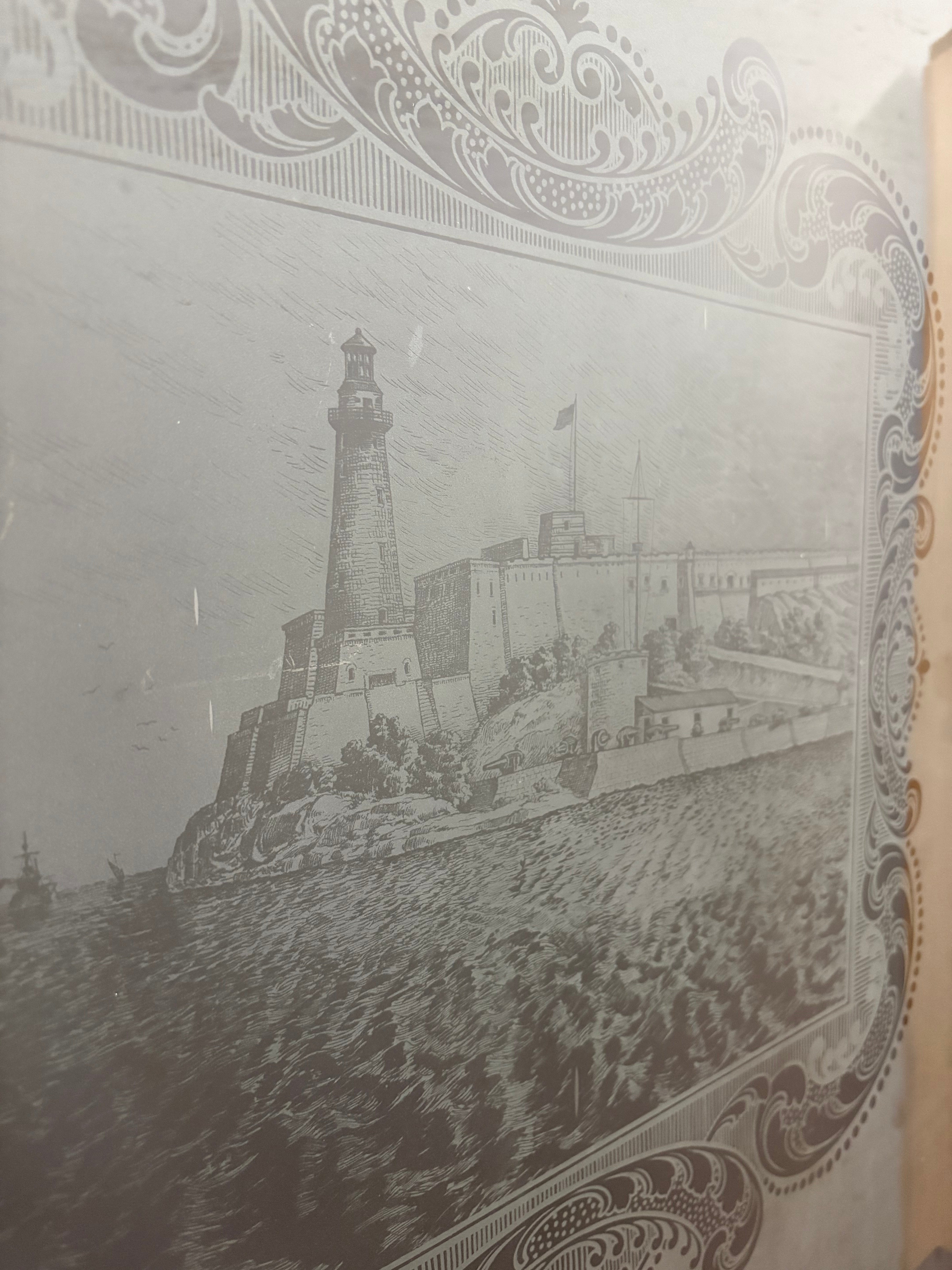 1-Light/ 6-Panel Acid Etched Light house Back Door (BD-445)