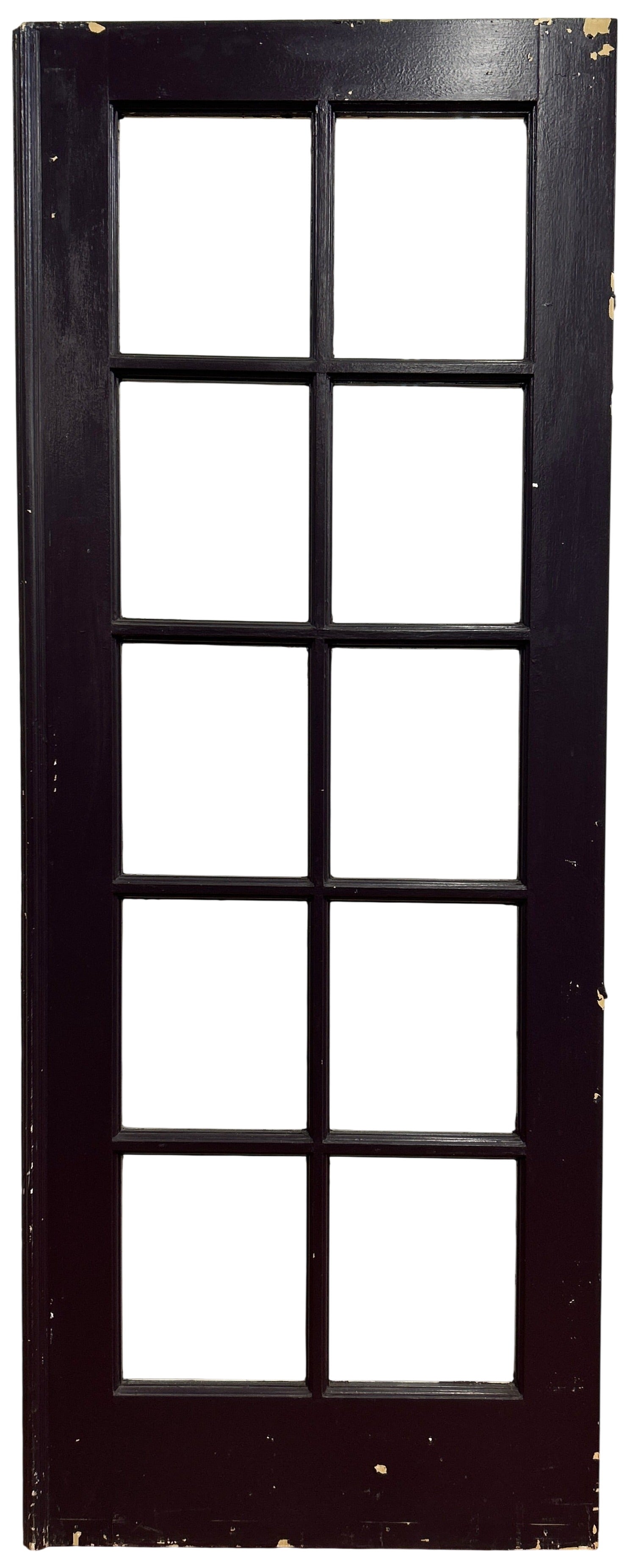 Ten-Lite Single French Door (FDS-181)