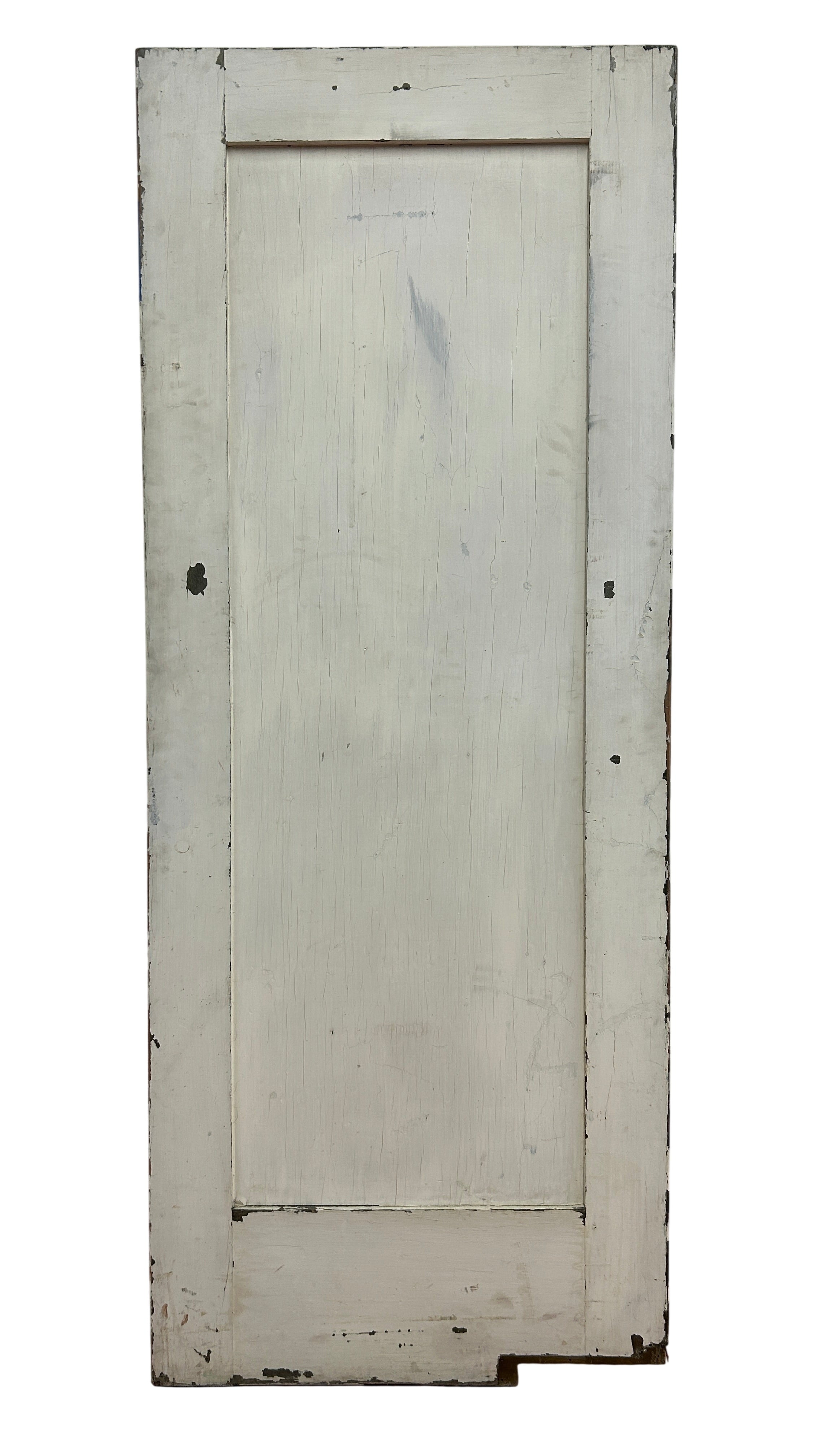 One Flat Paneled Swing Door (SW-69)