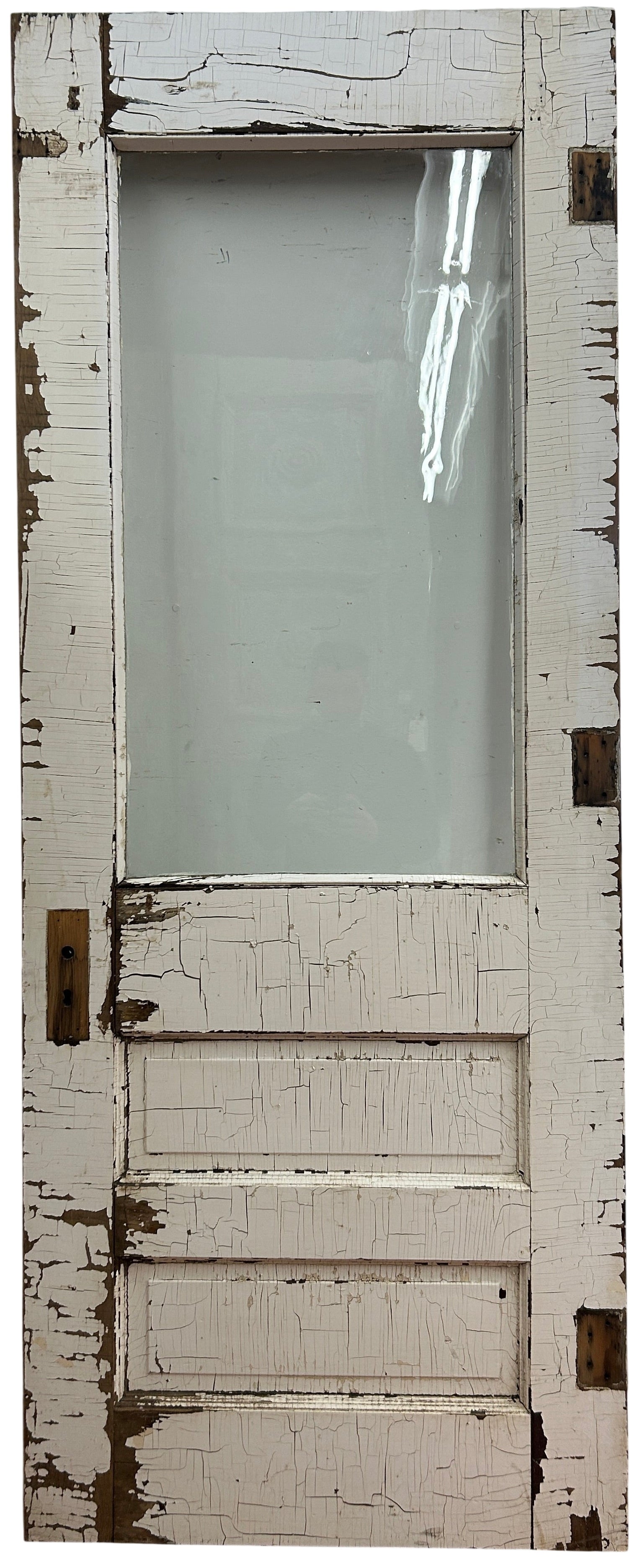 1-Light/ 2-Panel Back Door w/ Drip Ledge (BD-354)