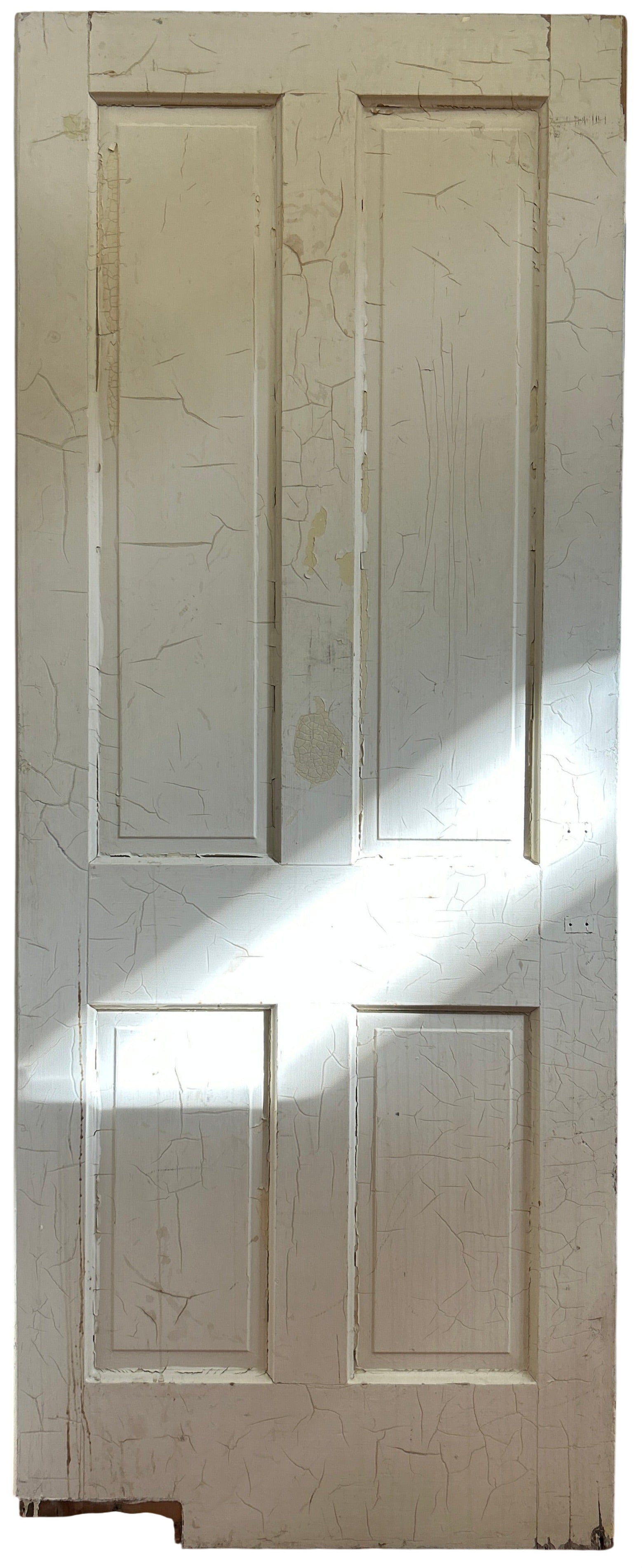 Swing Door With Four Raised Panels (SW-74)