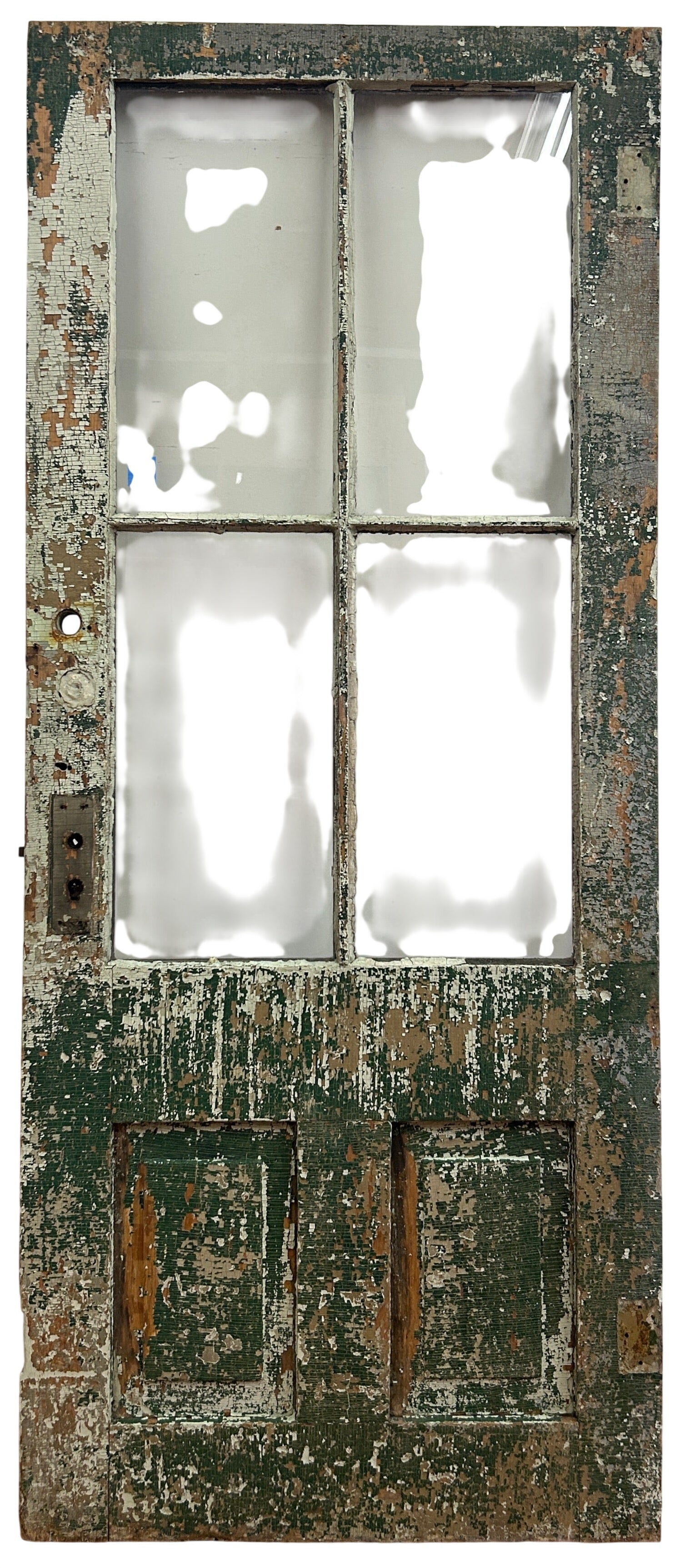 4-Light/ 2-Panel Back Door (BD-222)