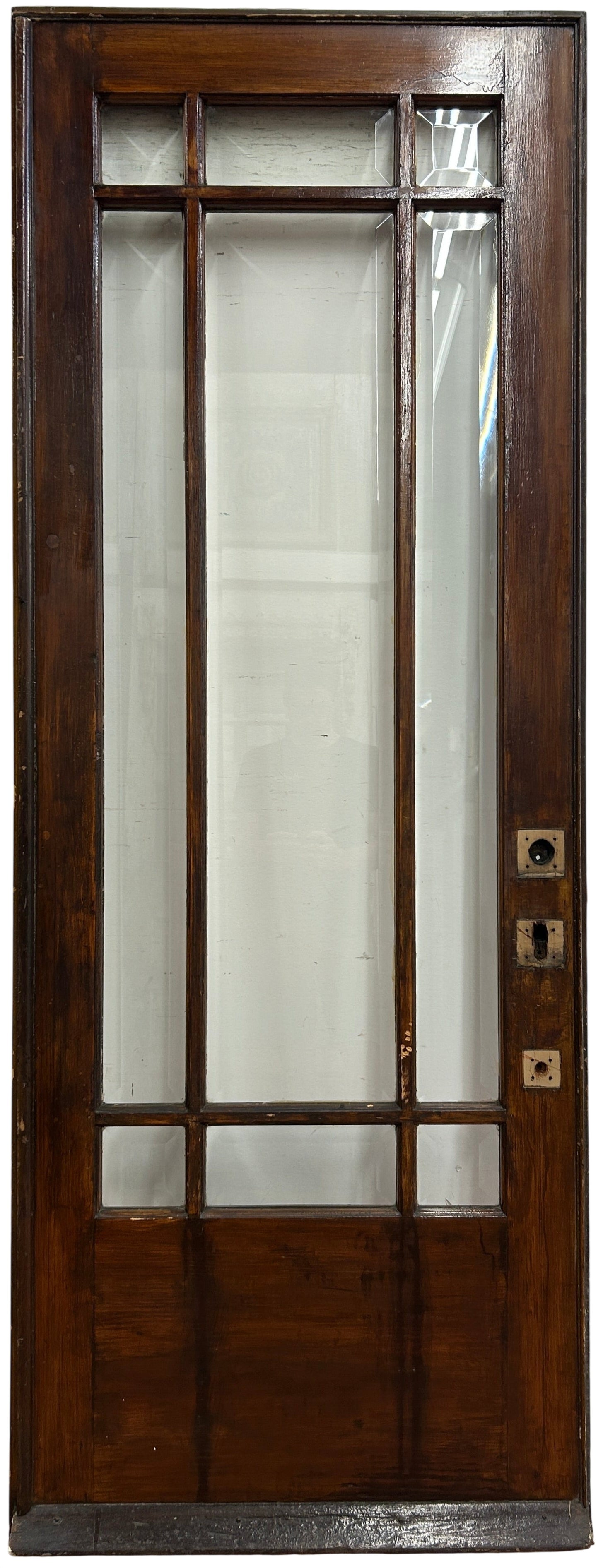 9-Light Entry Door w/ Beveled Glass (ED-354)