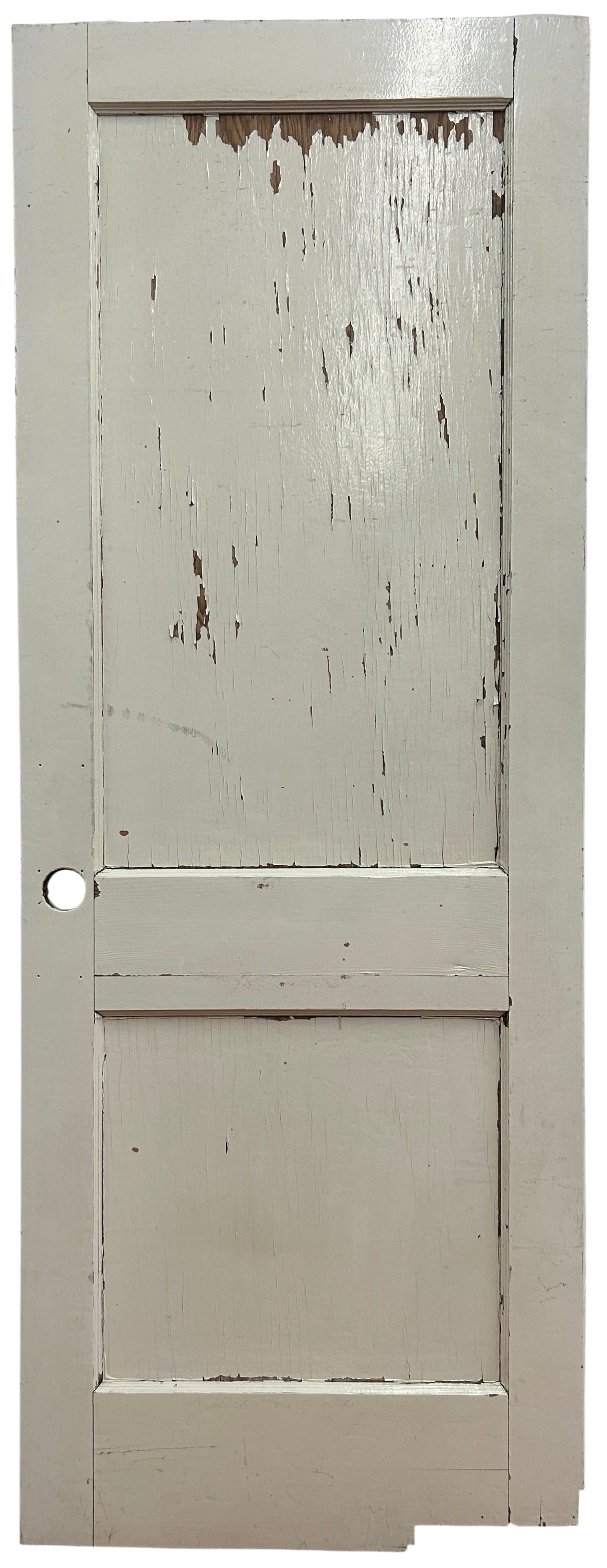 Swing Door With Two Flat Panels (SW-64)