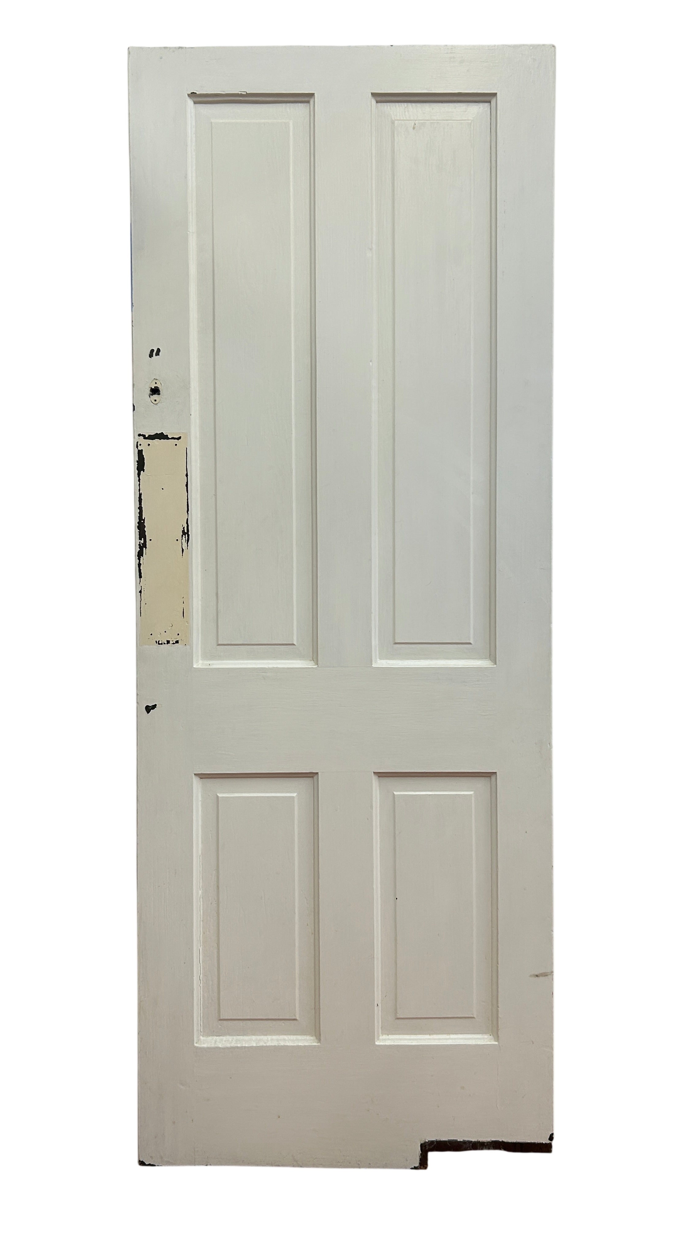 Swing Door With Four Raised Panels (SW-62)
