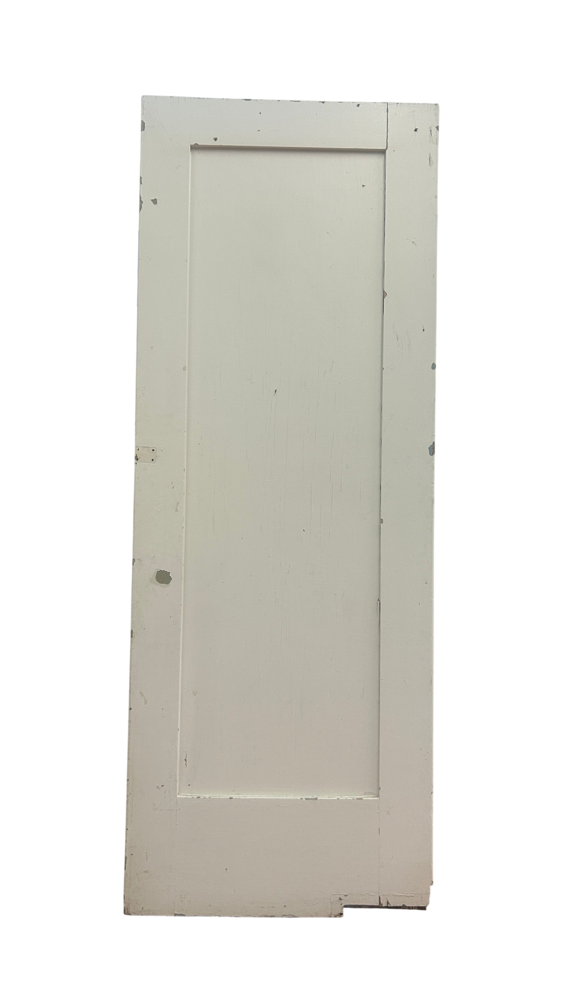 1-Panel Swing Door (SW-82)