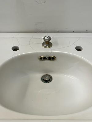J.L. Mott Pedestal Sink (SINK-18)