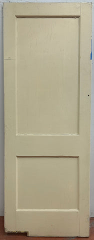 Swing Door With Two Flat Panels (SW-65)