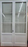 3-Light/ 1-Panel French Door Pair (FDP-236)