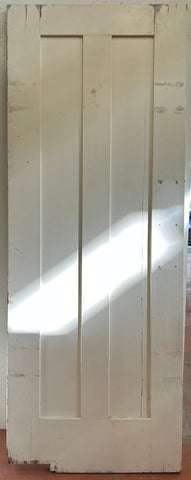 Swing Door With Two Vertical Flat Panels (SW-73)