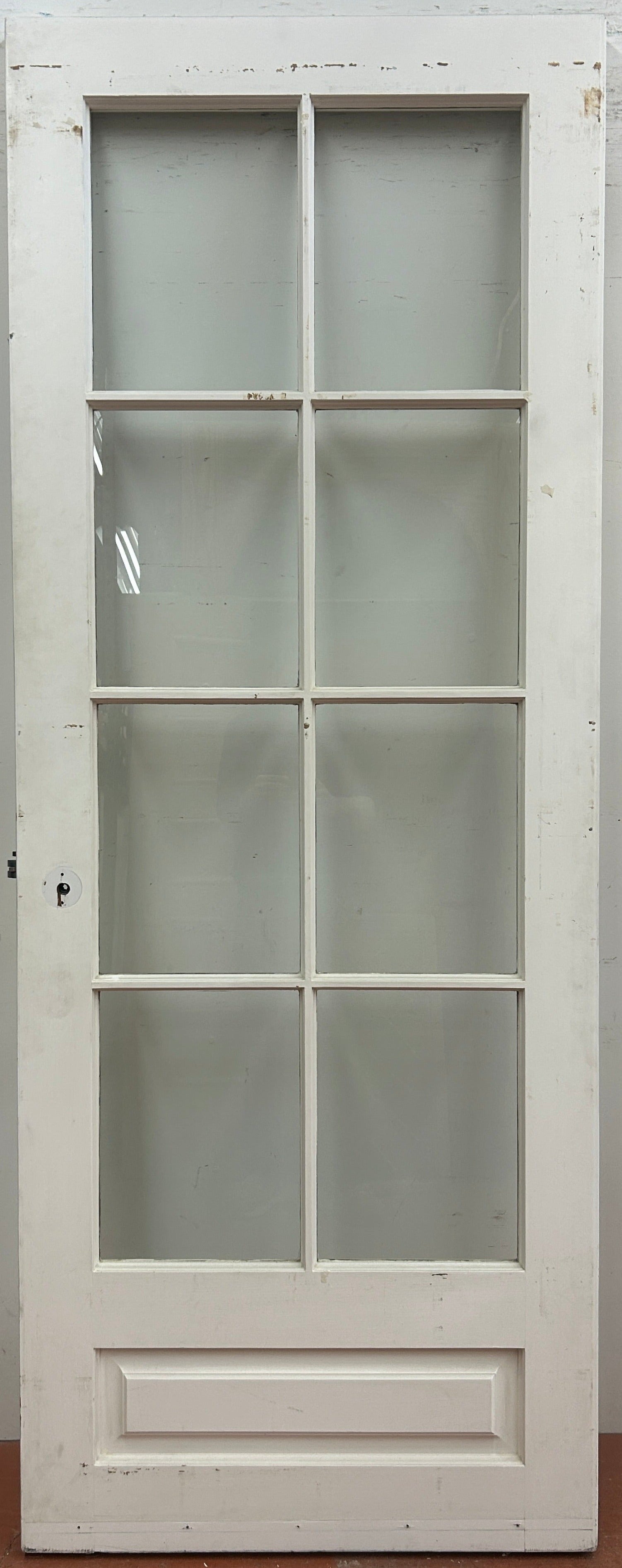 Eight-Light Single French Door With Raised Panel (FDS-187)