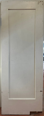 One Flat Panel Swing door (SW-66)
