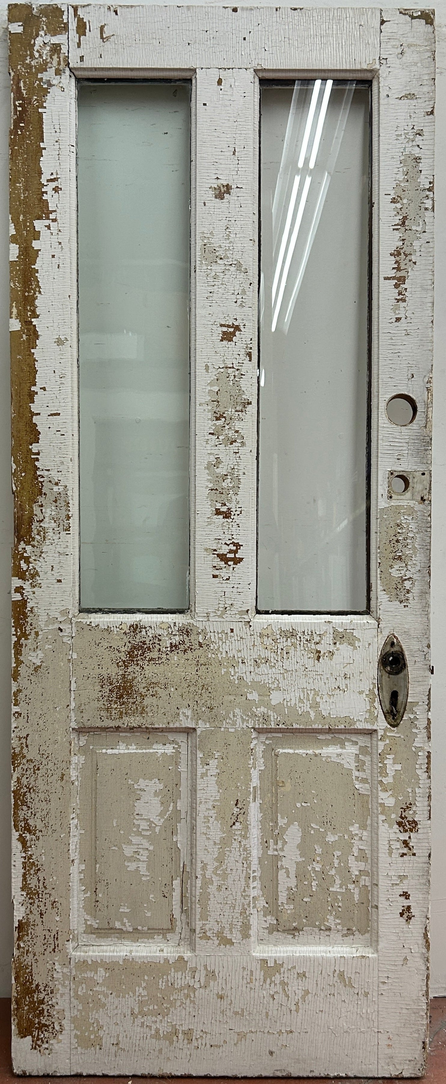 2-Light/ 2-Panel Back Door (BD-404)