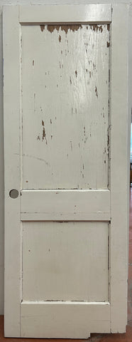 Swing Door With Two Flat Panels (SW-64)
